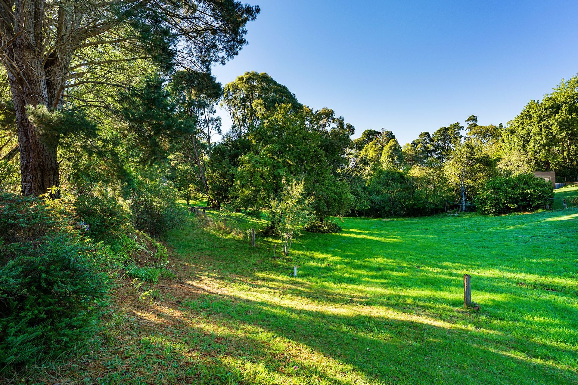 45 Perrins Street Daylesford, Daylesford - Thumbnail 7