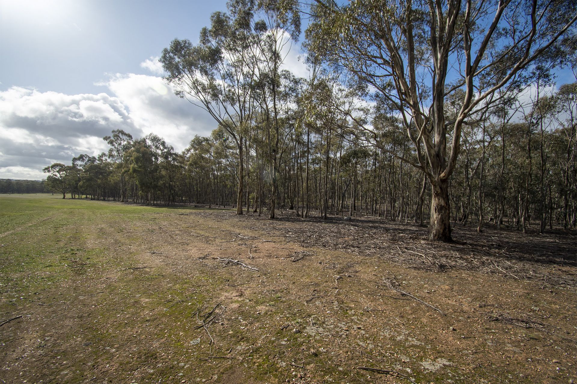 CA 5/1137 Landrigan Road Daisy Hill Via, Maryborough - Thumbnail 6