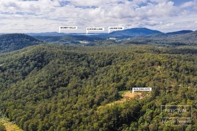 Your Private Slice of Nature's Paradise – 100 Acres of Opportunity!