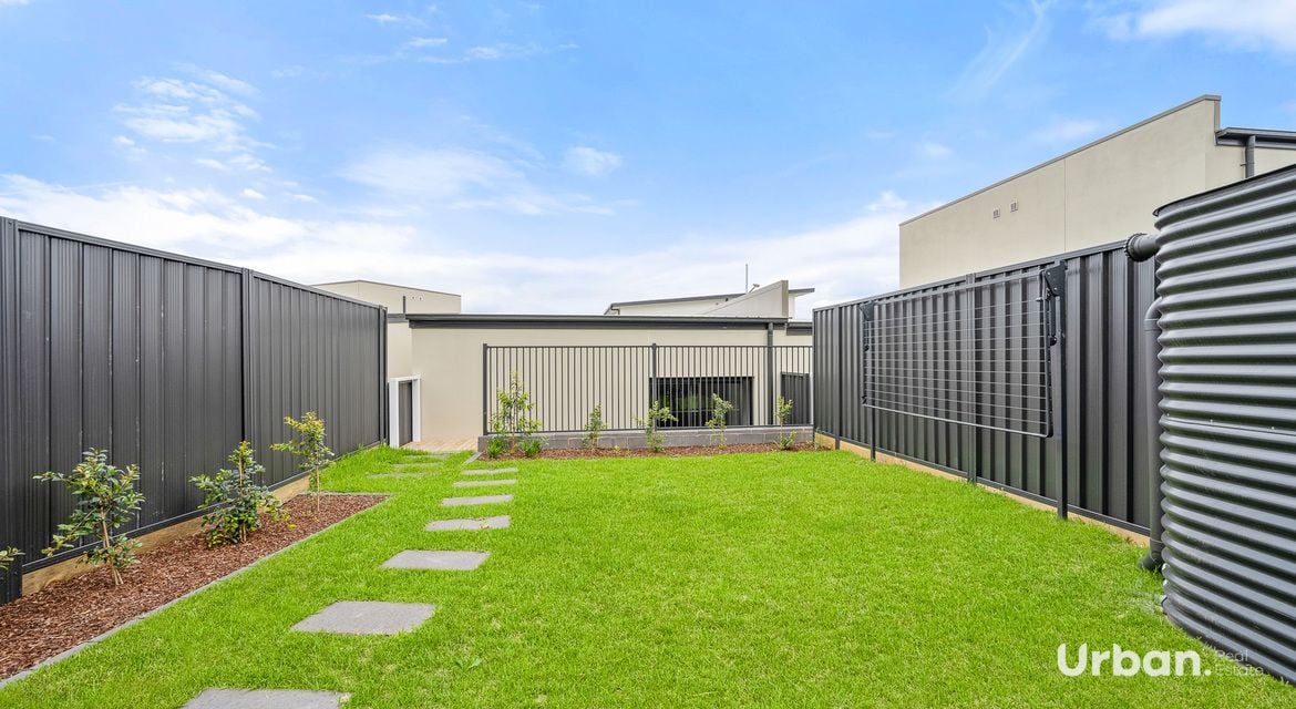Oran Park 36 Brangus Loop
