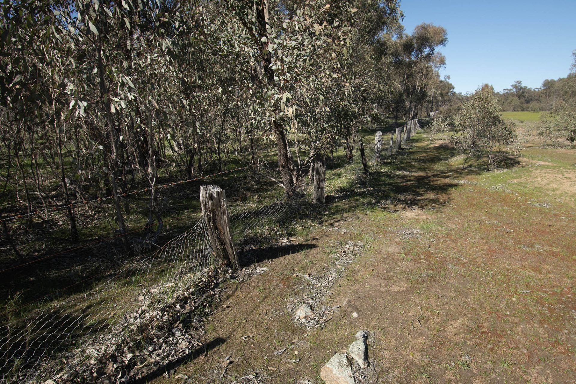 52 SEC 10/25 Long Bush Road, McIntyre - Thumbnail 8