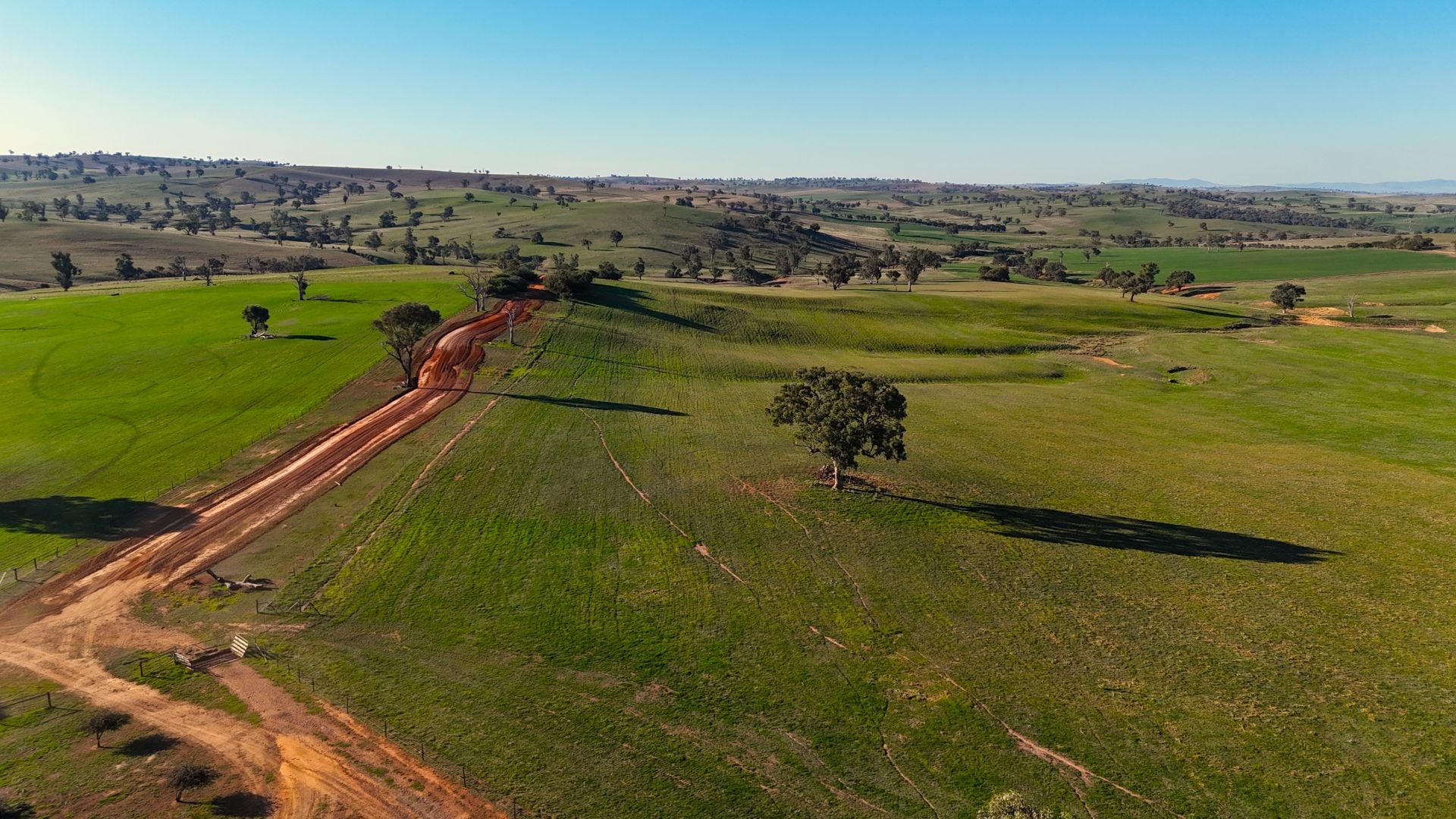 780 Pattersons Road, Wagga Wagga, Wagga Wagga - Image 1