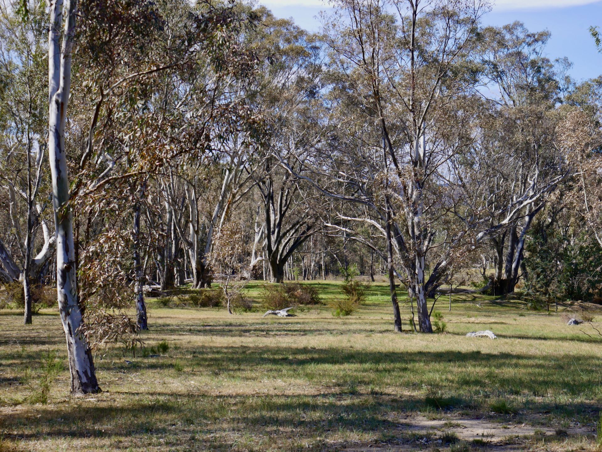44 Borbidge Lane, Moonambel - Thumbnail 4