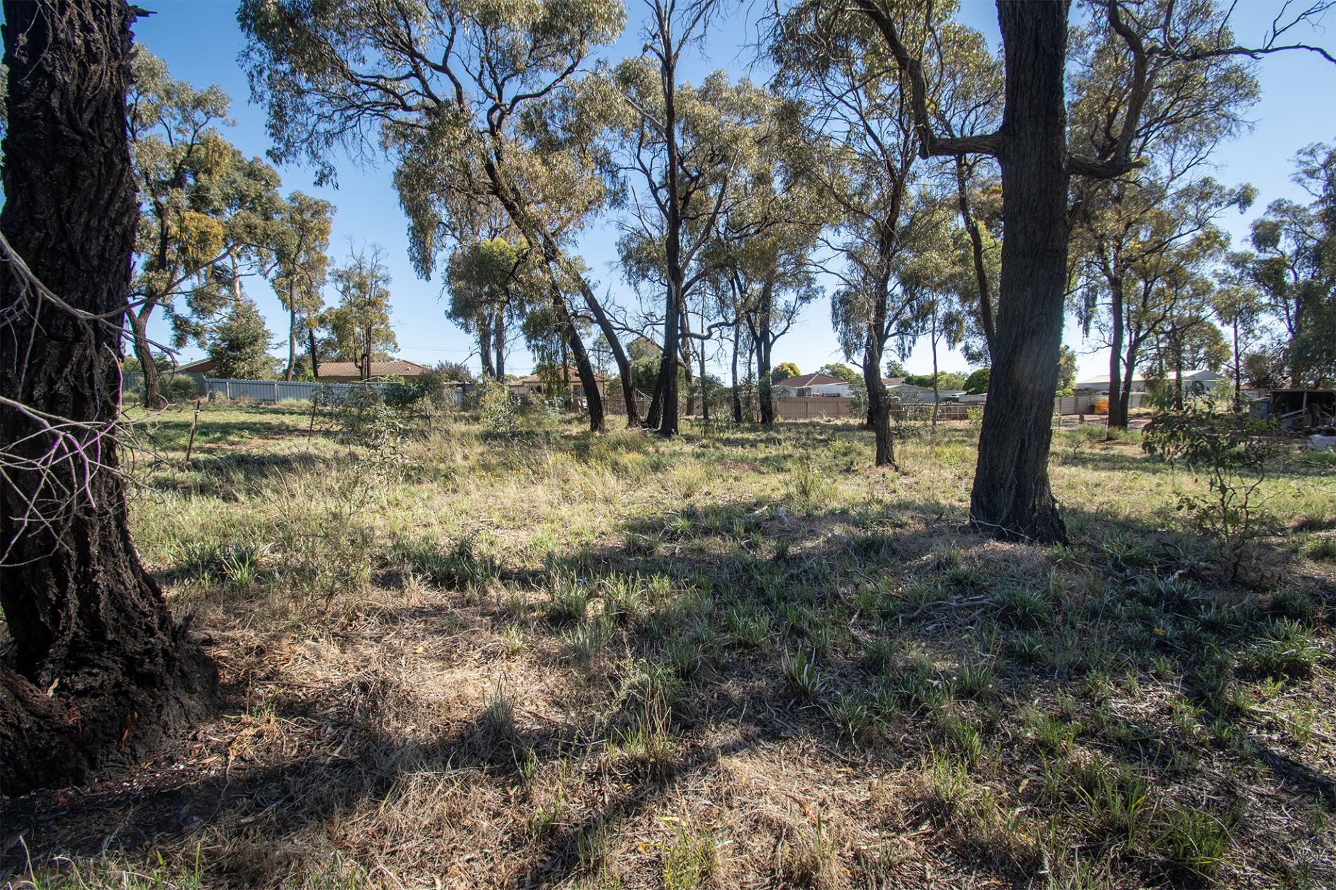 20 McPherson Avenue, Maryborough - Thumbnail 5