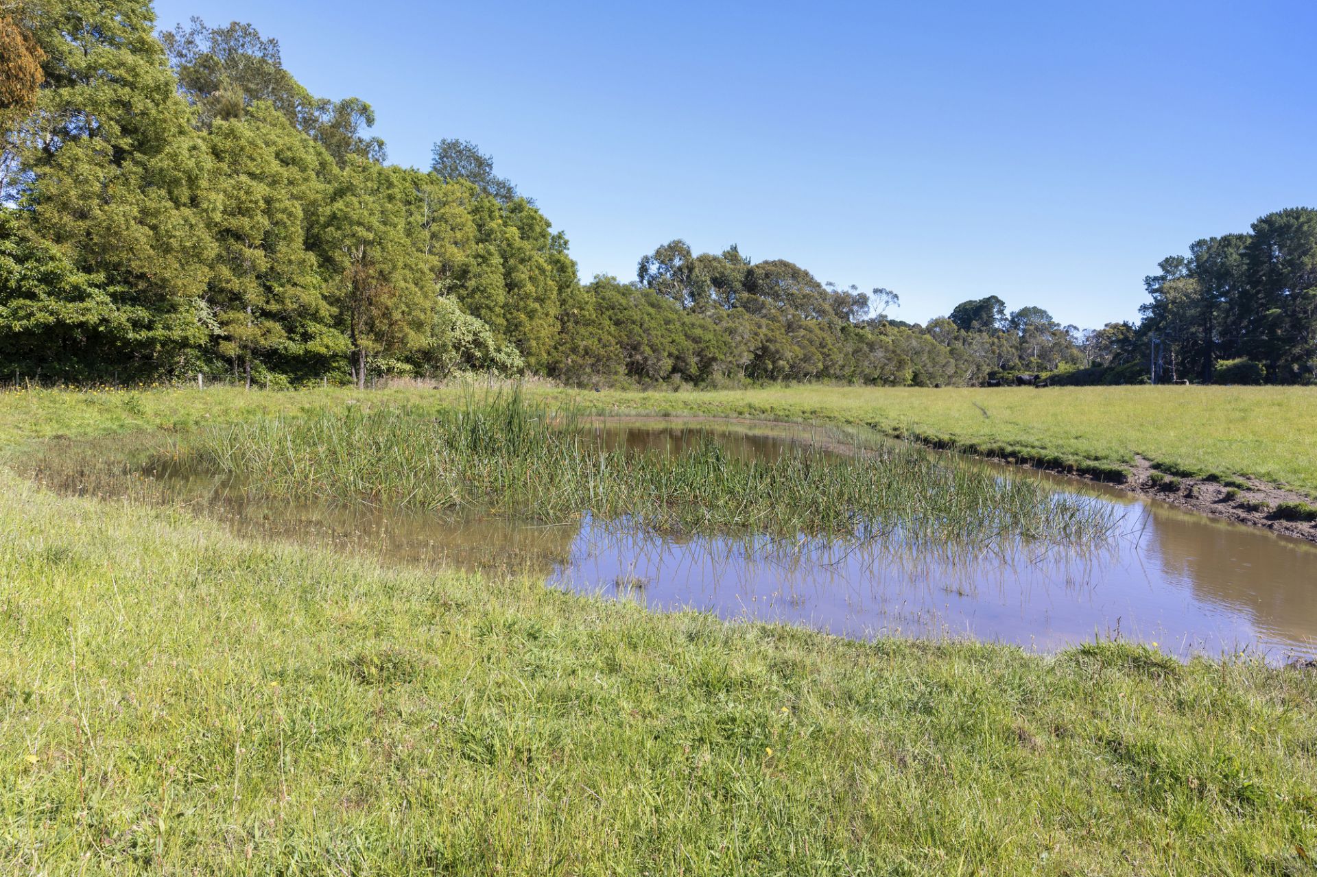 51 Stanleys Road, Merricks, Merricks - Thumbnail 6