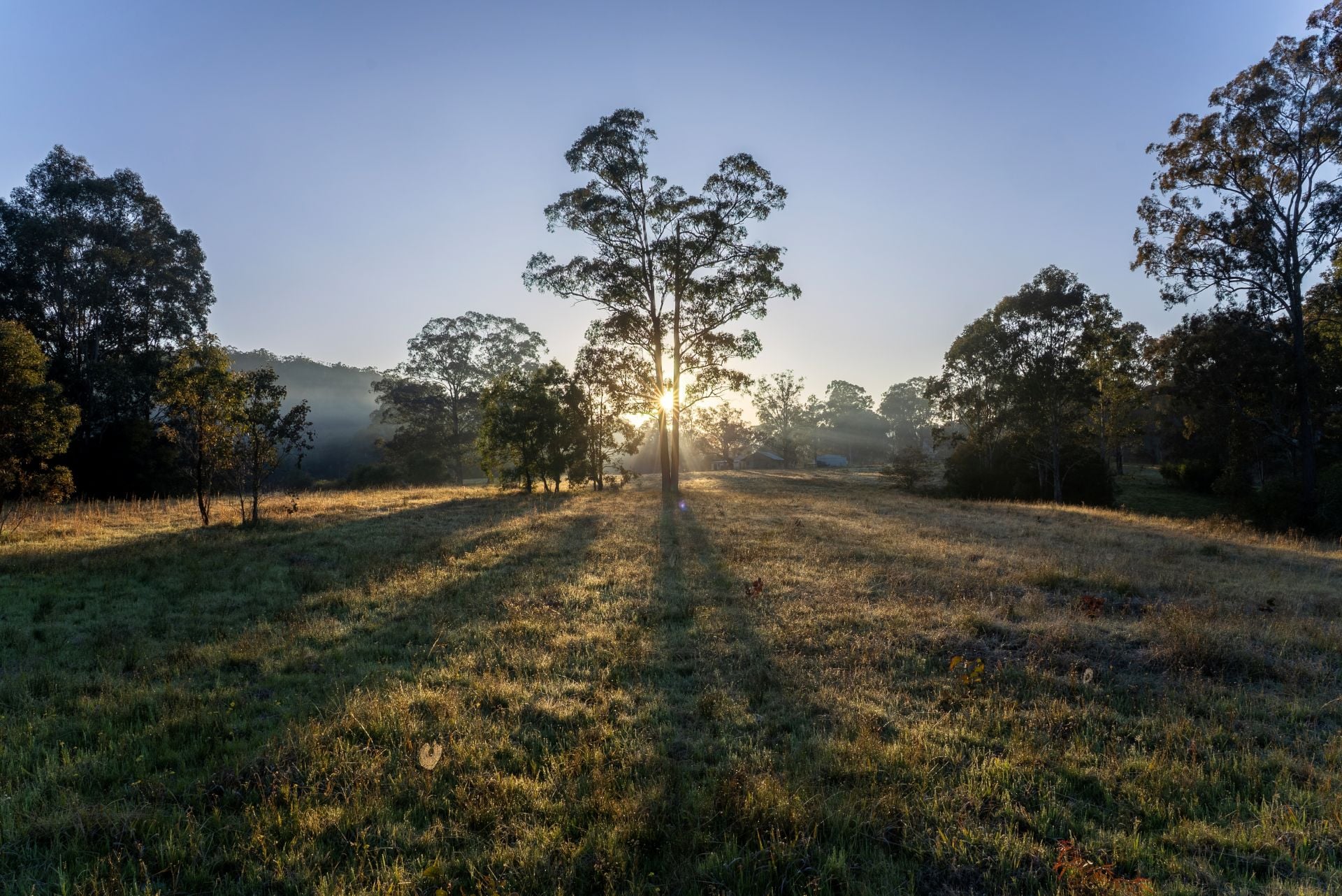 Martins Creek  94 Cory Street