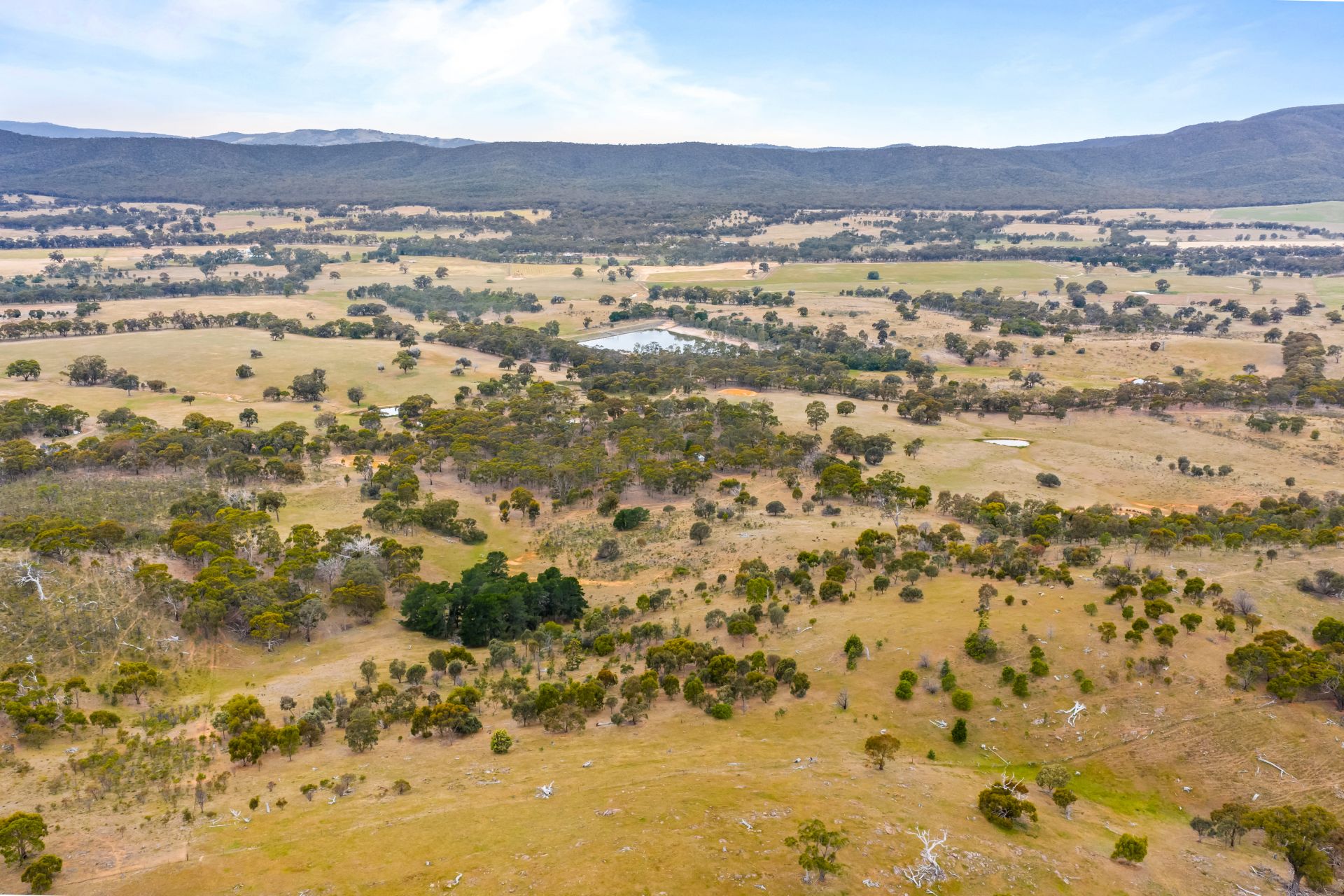 210 Cemetery Road, Landsborough, Landsborough - Image 1