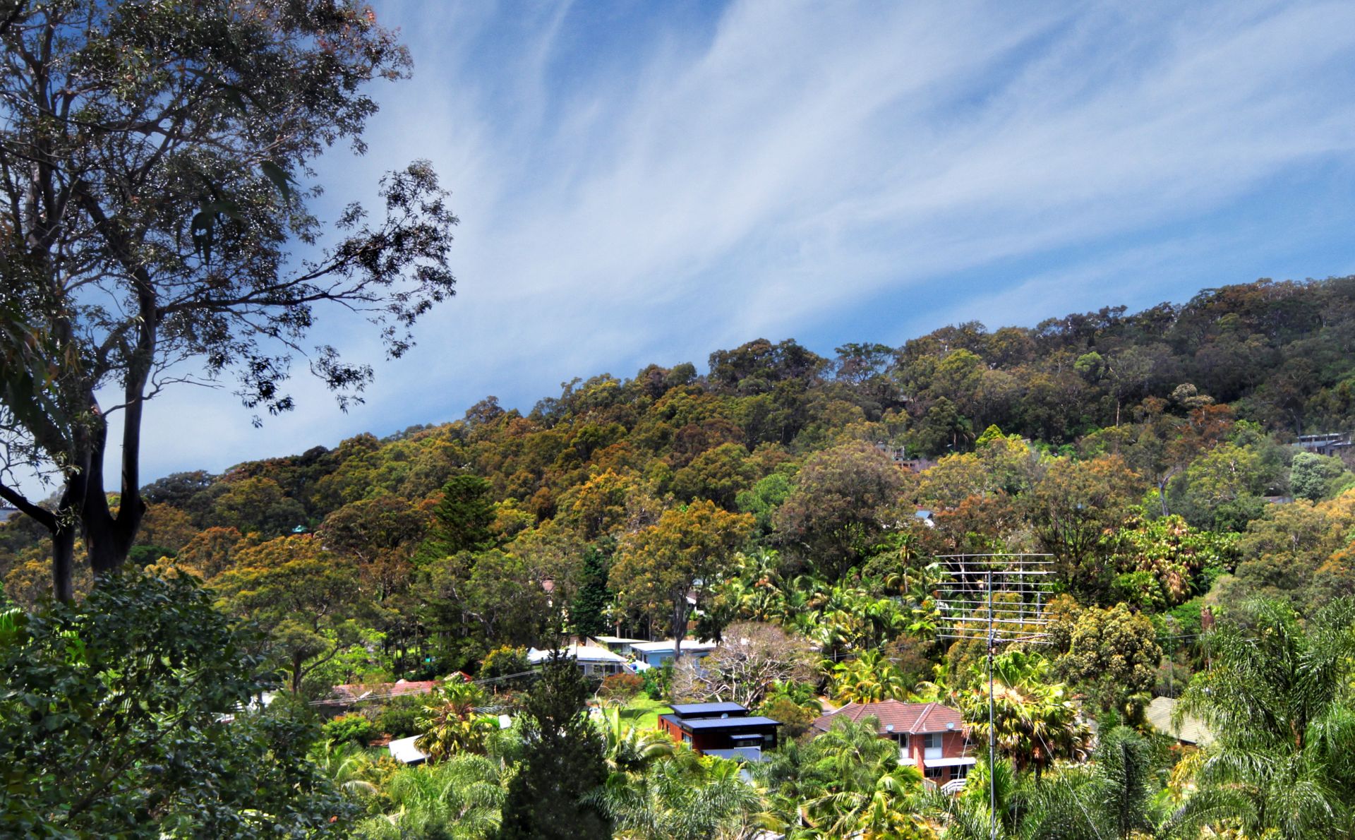 9 Elizabeth Street Avalon NSW, Avalon - Thumbnail 2