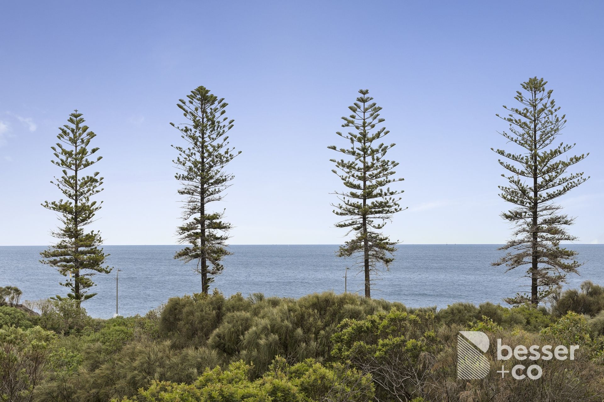53 Ormond Esplanade, Elwood - Thumbnail 7