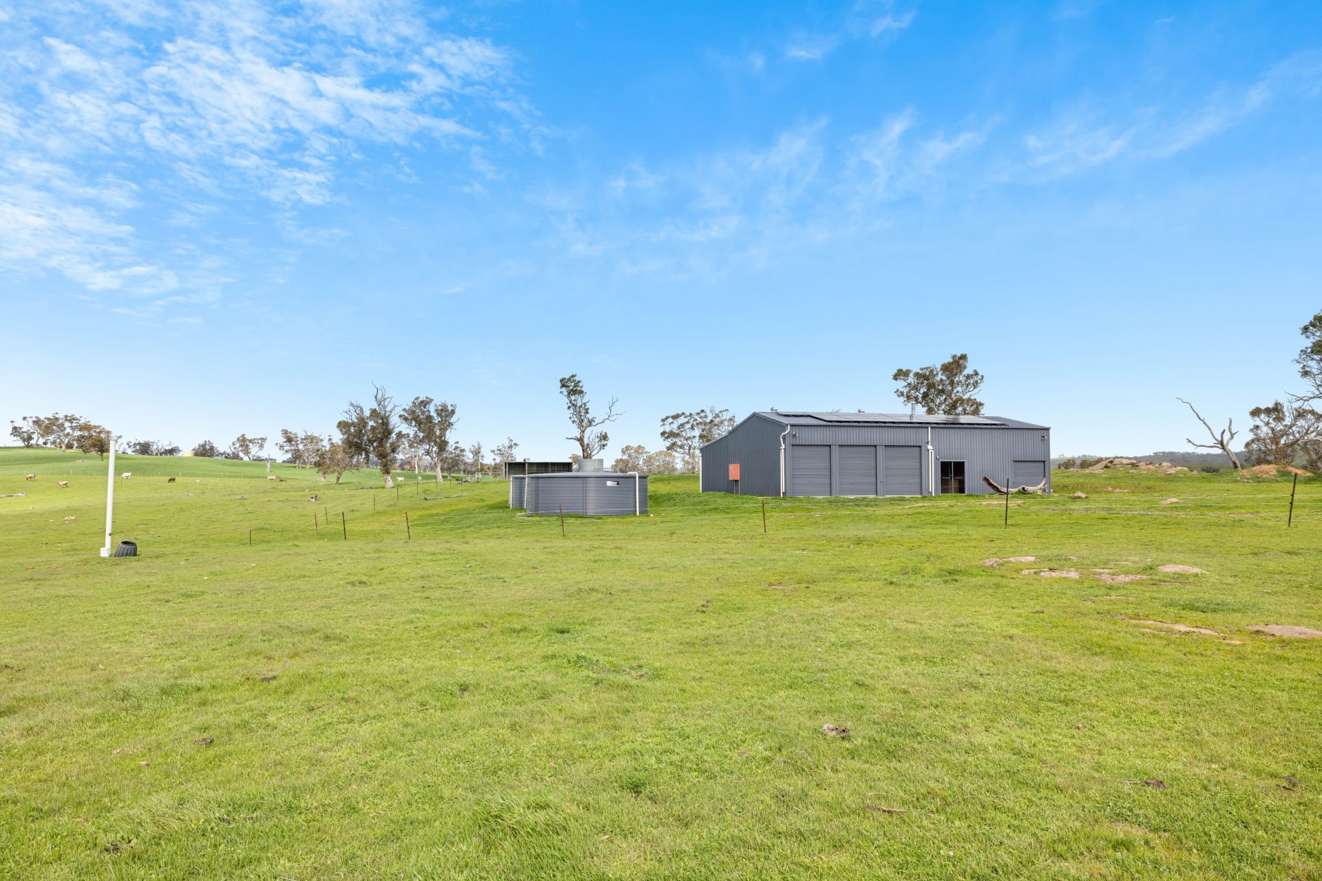 951 Black Heath Road, Tungkillo SA, Tungkillo - Thumbnail 7
