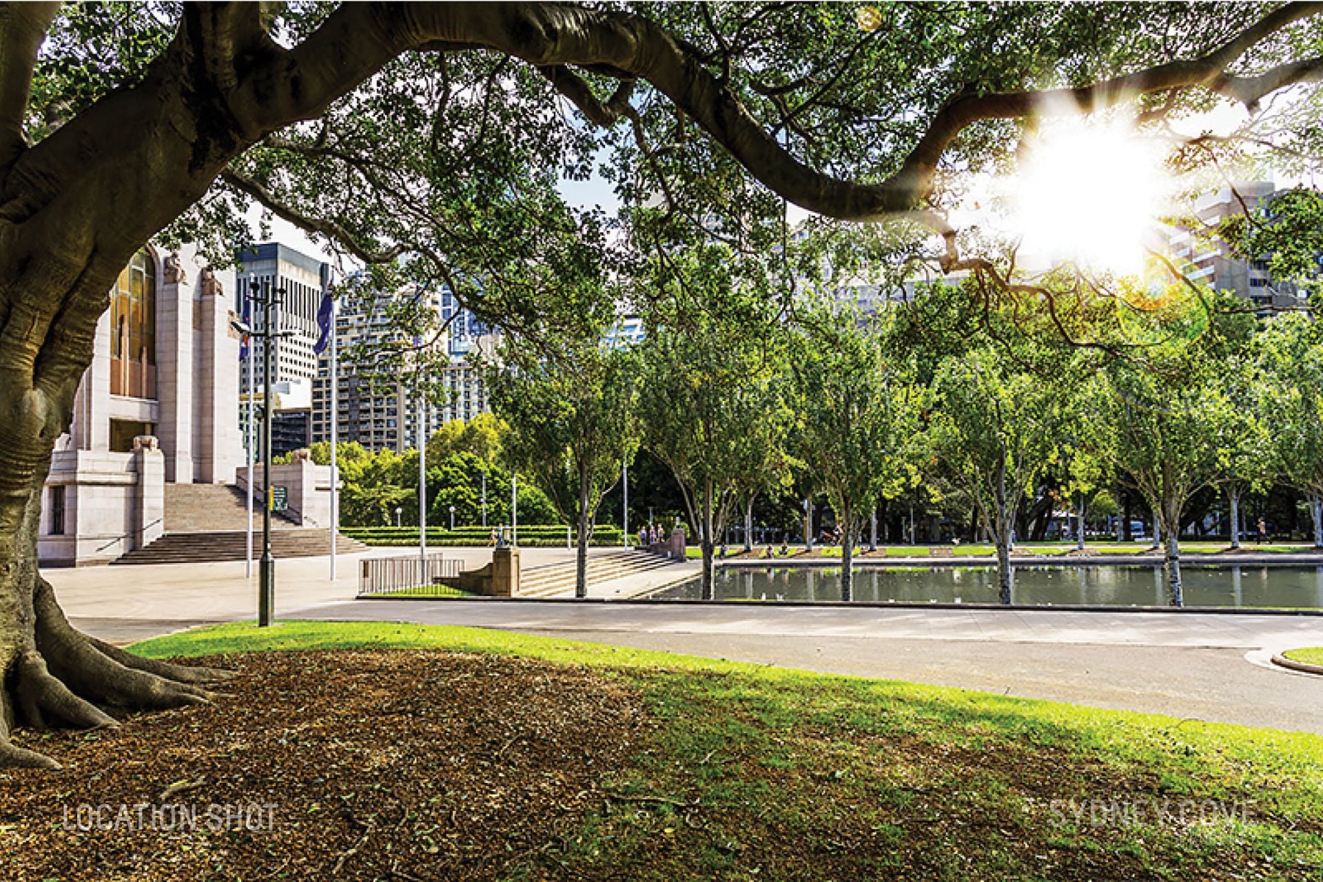 1501/130 Elizabeth Street, SYDNEY NSW 2000, Sydney - Image 1