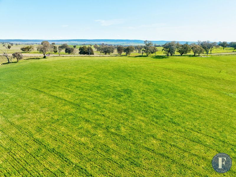 Lot 4 Geegullagong Roads, Murringo NSW, Murringo - Thumbnail 4