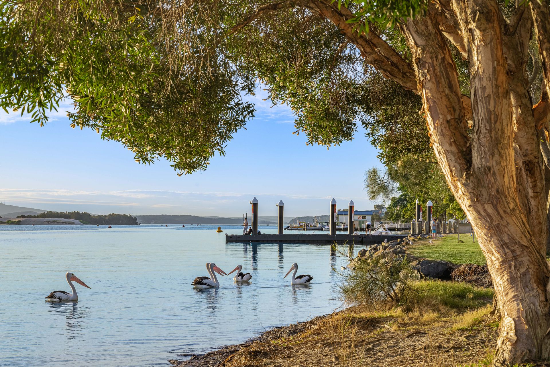 48 Lakeview Parade Pelican NSW, Pelican - Thumbnail 3