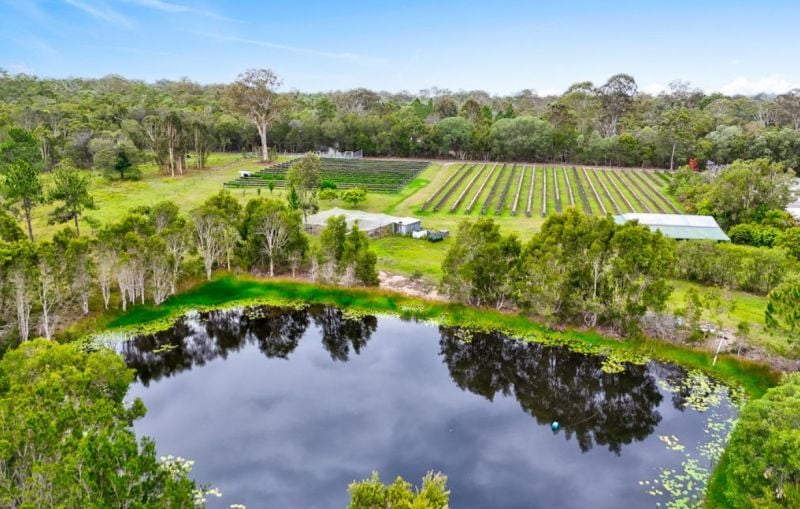 Farm For Sale - QLD - Goomboorian - 4570 - 30 Acres of Privacy, Lifestyle & Established Income Potential 