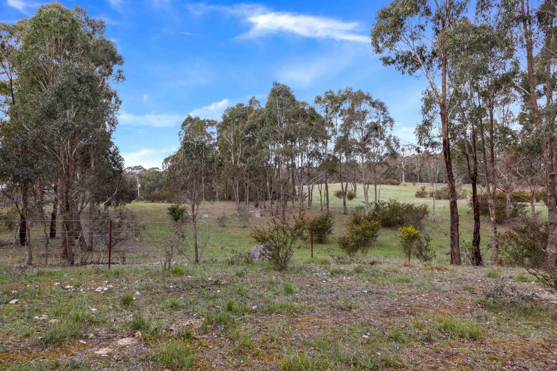 529 Beaufort-Lexton Road, Beaufort, Beaufort - Thumbnail 5