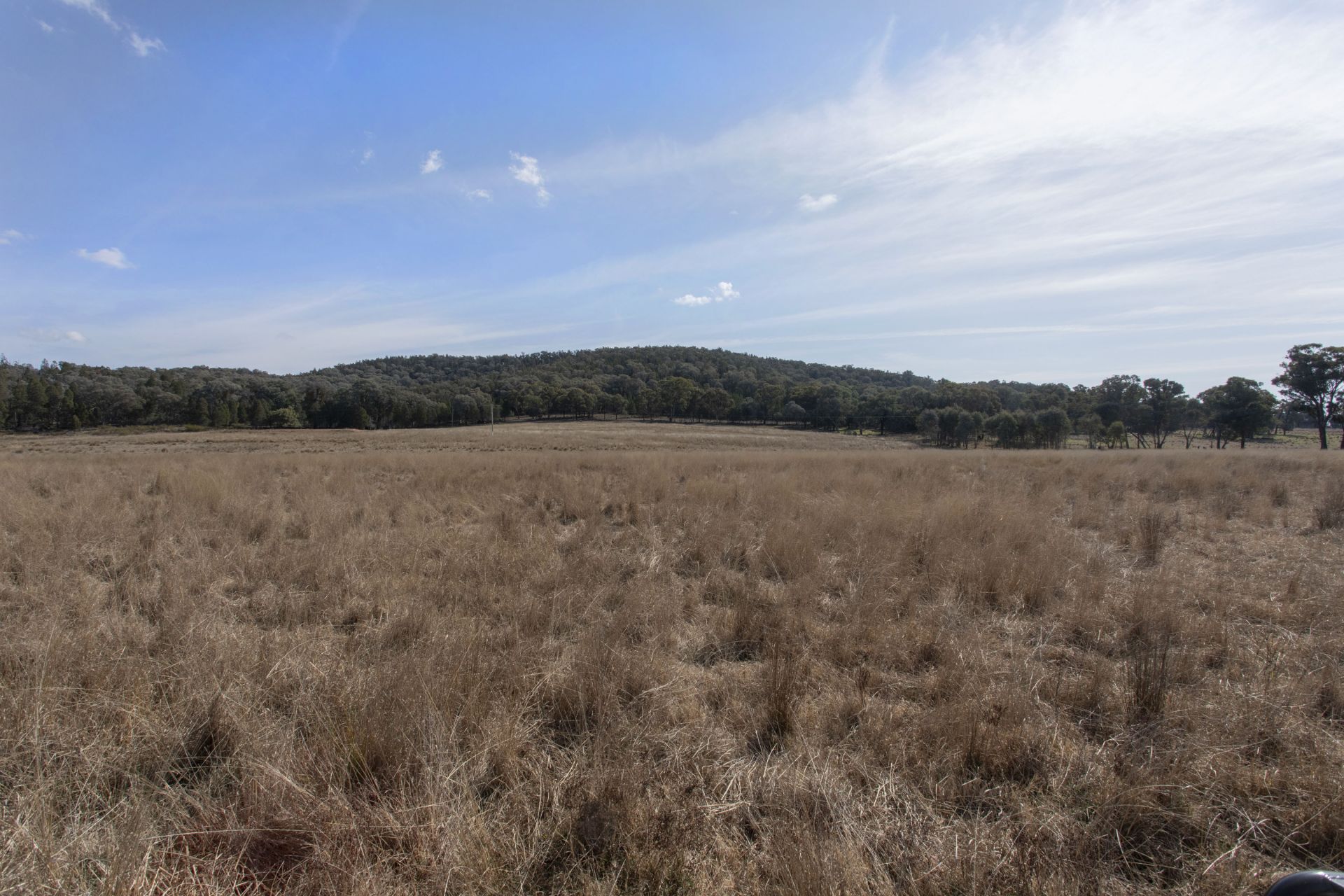 367 Stoney Hill Road, Cowra NSW, Cowra - Thumbnail 8