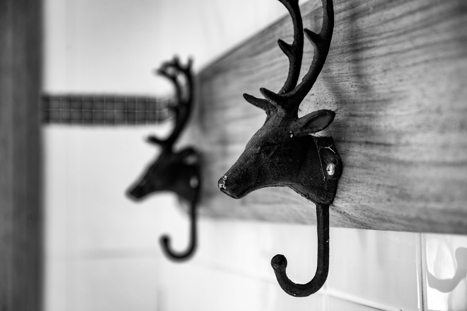 50 Blencowes Lane, Wildes Meadow, Wildes Meadow - Thumbnail 2