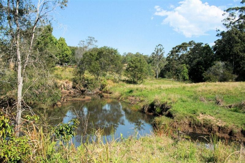 141 Duffus Road UPPER CORINDI NSW, Upper Corindi - Thumbnail 4