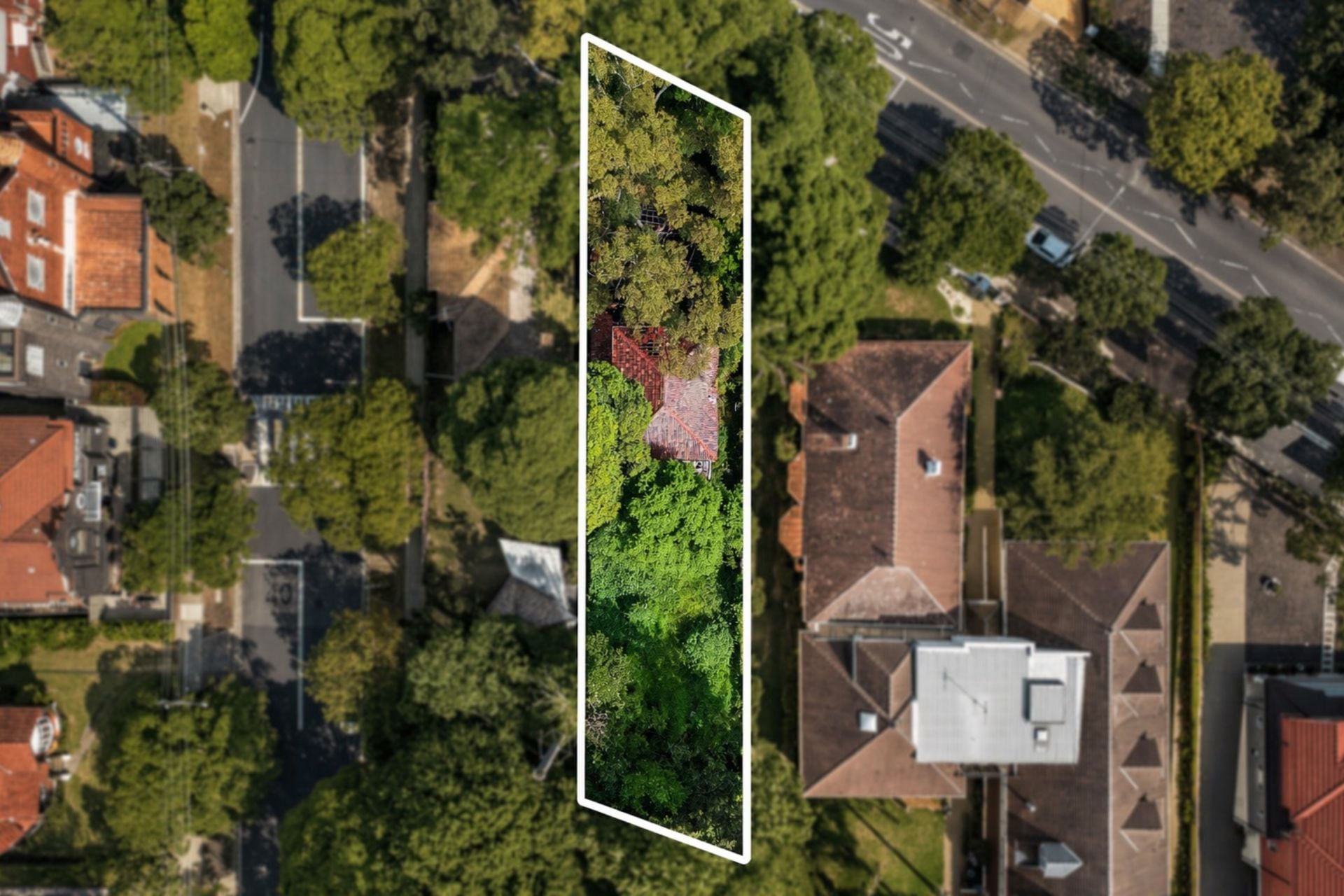 62 Homebush Road Strathfield NSW, Strathfield - Thumbnail 6