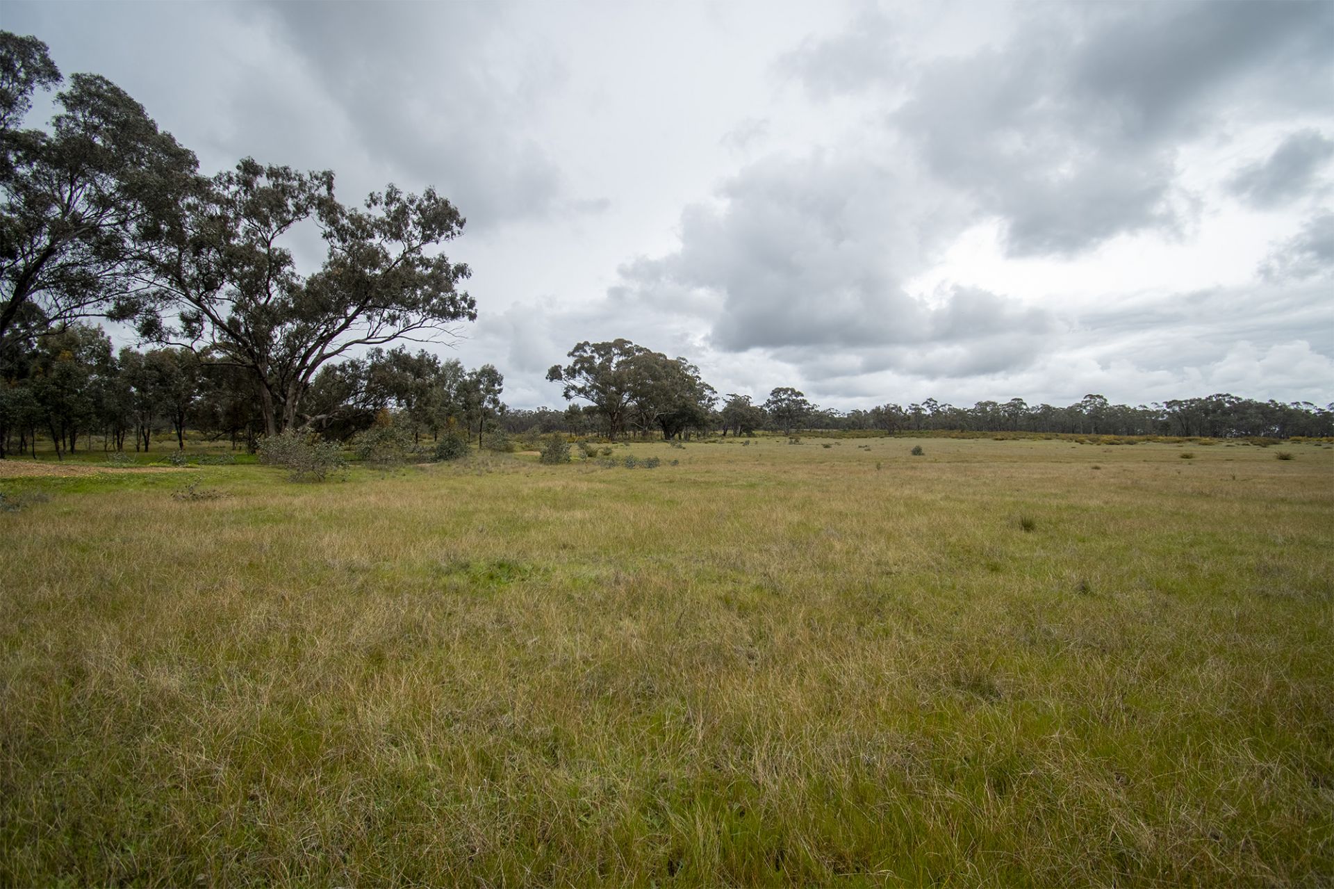 29/123 Logan Road, Alma - Thumbnail 5
