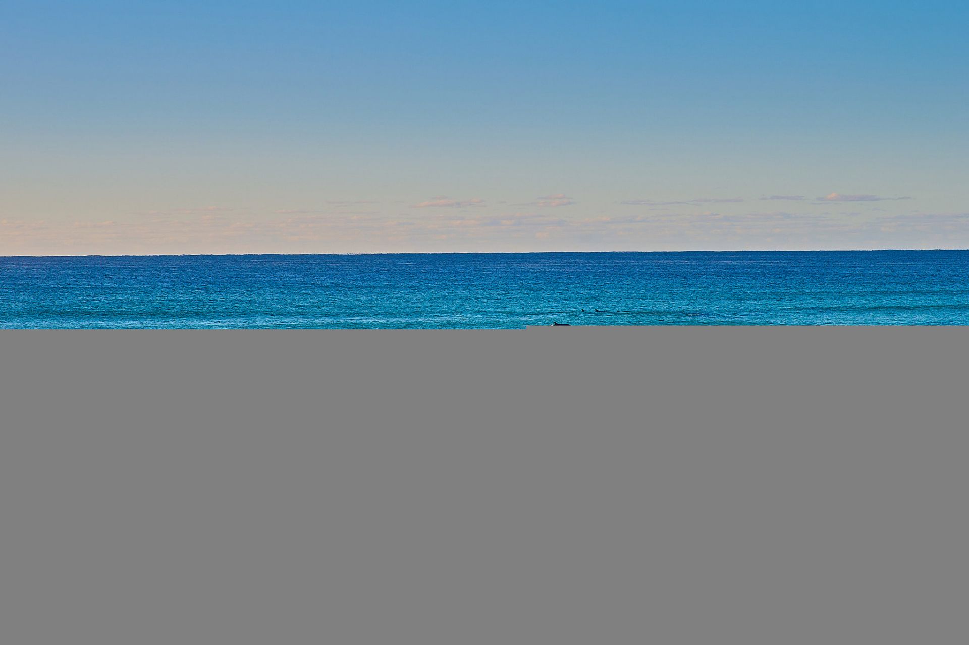 334 Plomer Road North Shore NSW, North Shore - Thumbnail 5