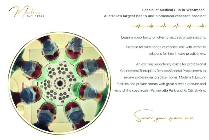 16 Park Avenue, Westmead