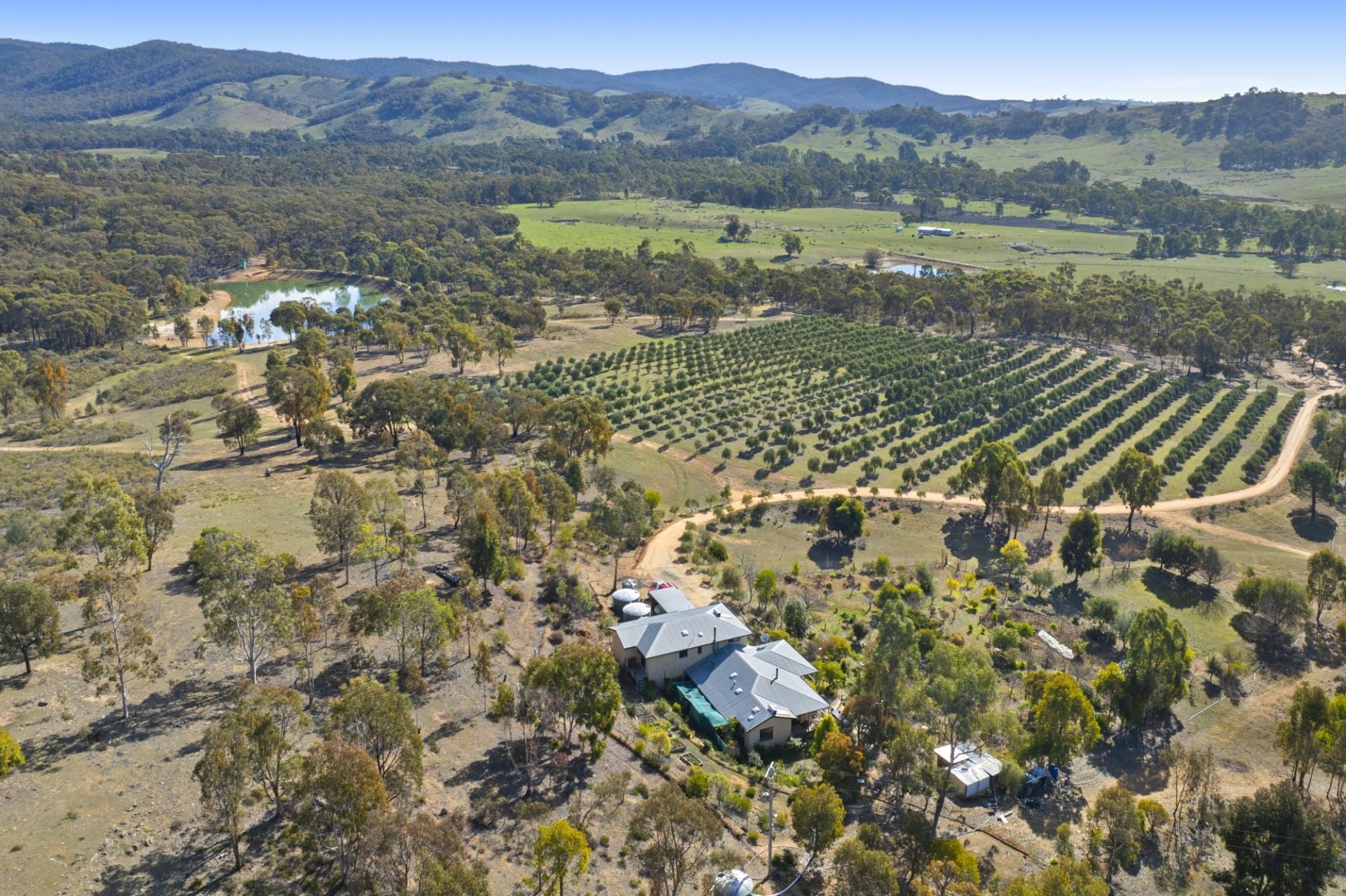 42 Wild Grape Road, Redbank - Thumbnail 2
