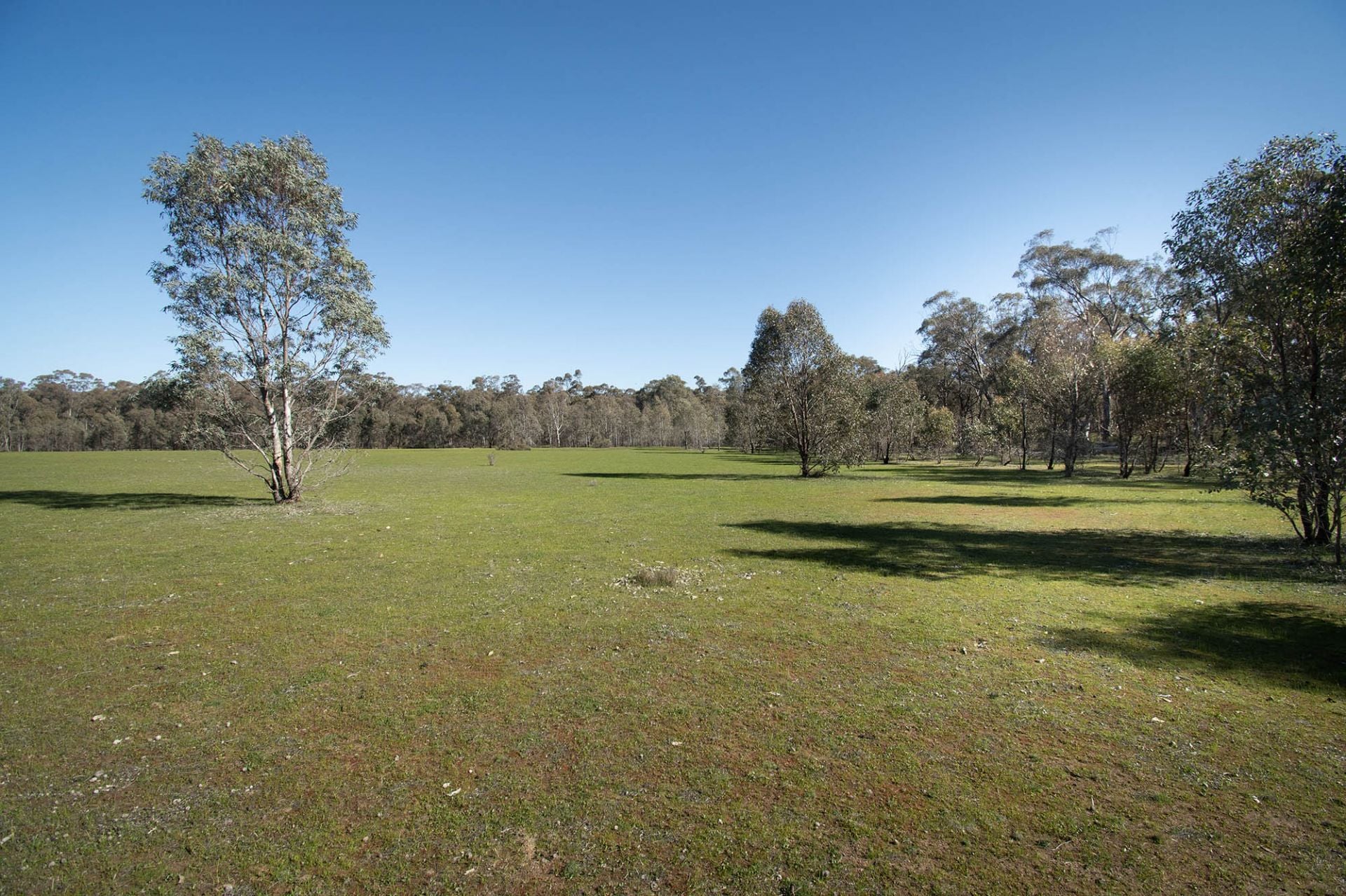 52 SEC 10/25 Long Bush Road, McIntyre - Thumbnail 7