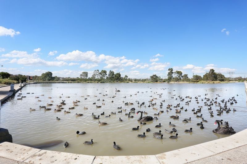 10 Friarbird Road, South Morang