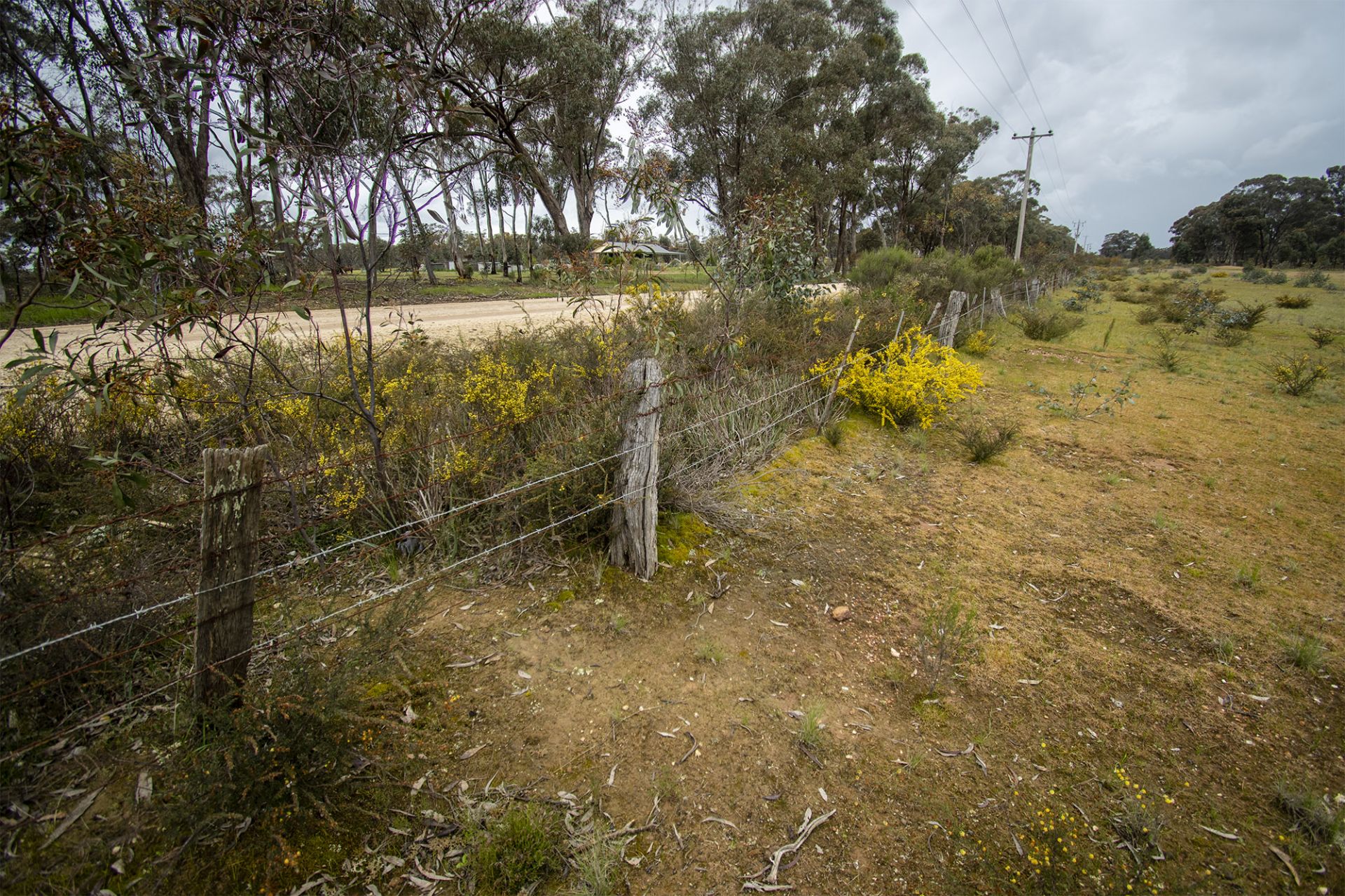 29/123 Logan Road, Alma - Thumbnail 7