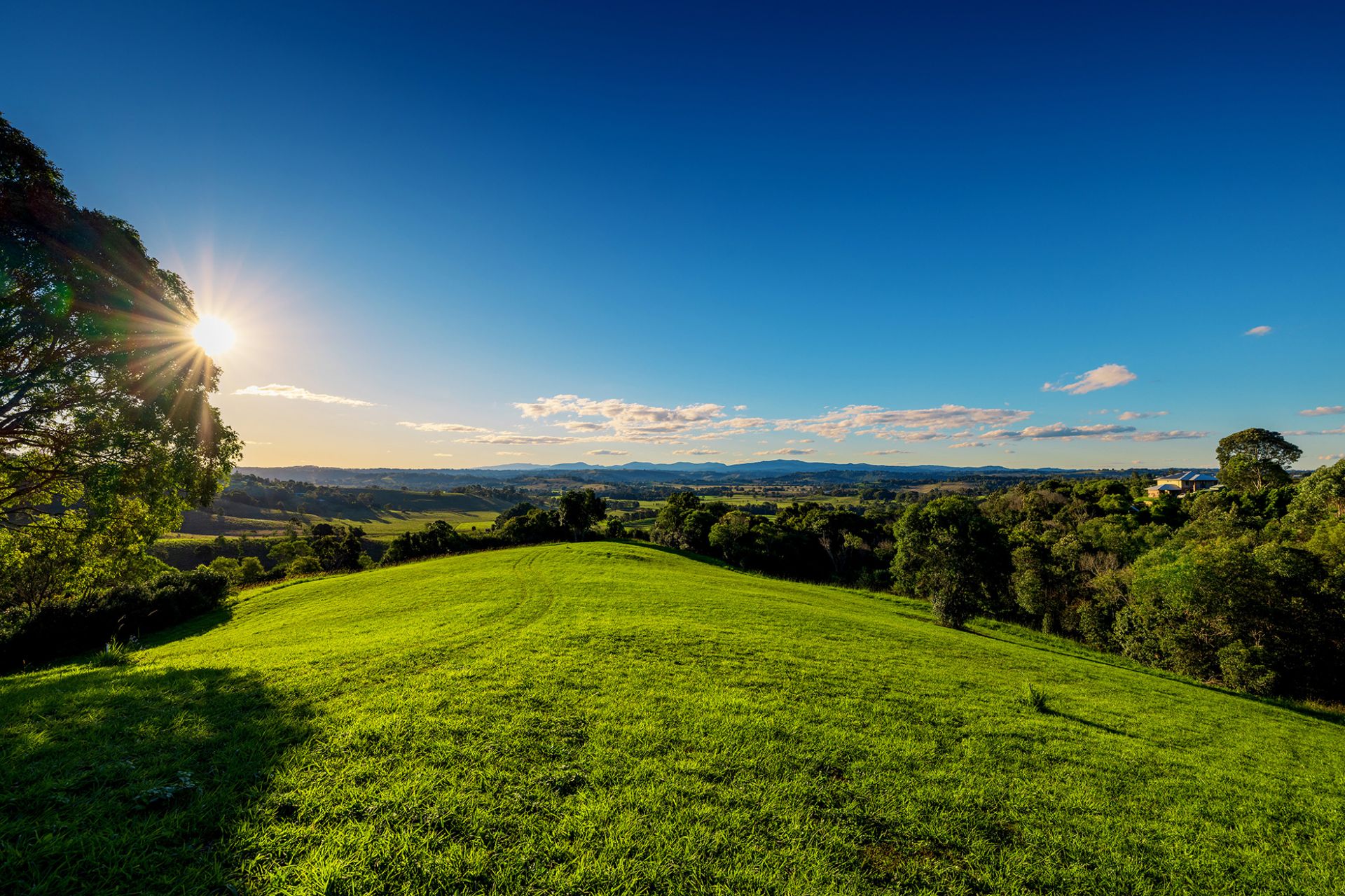 48 Lincoln Avenue, McLeans Ridges - Thumbnail 7