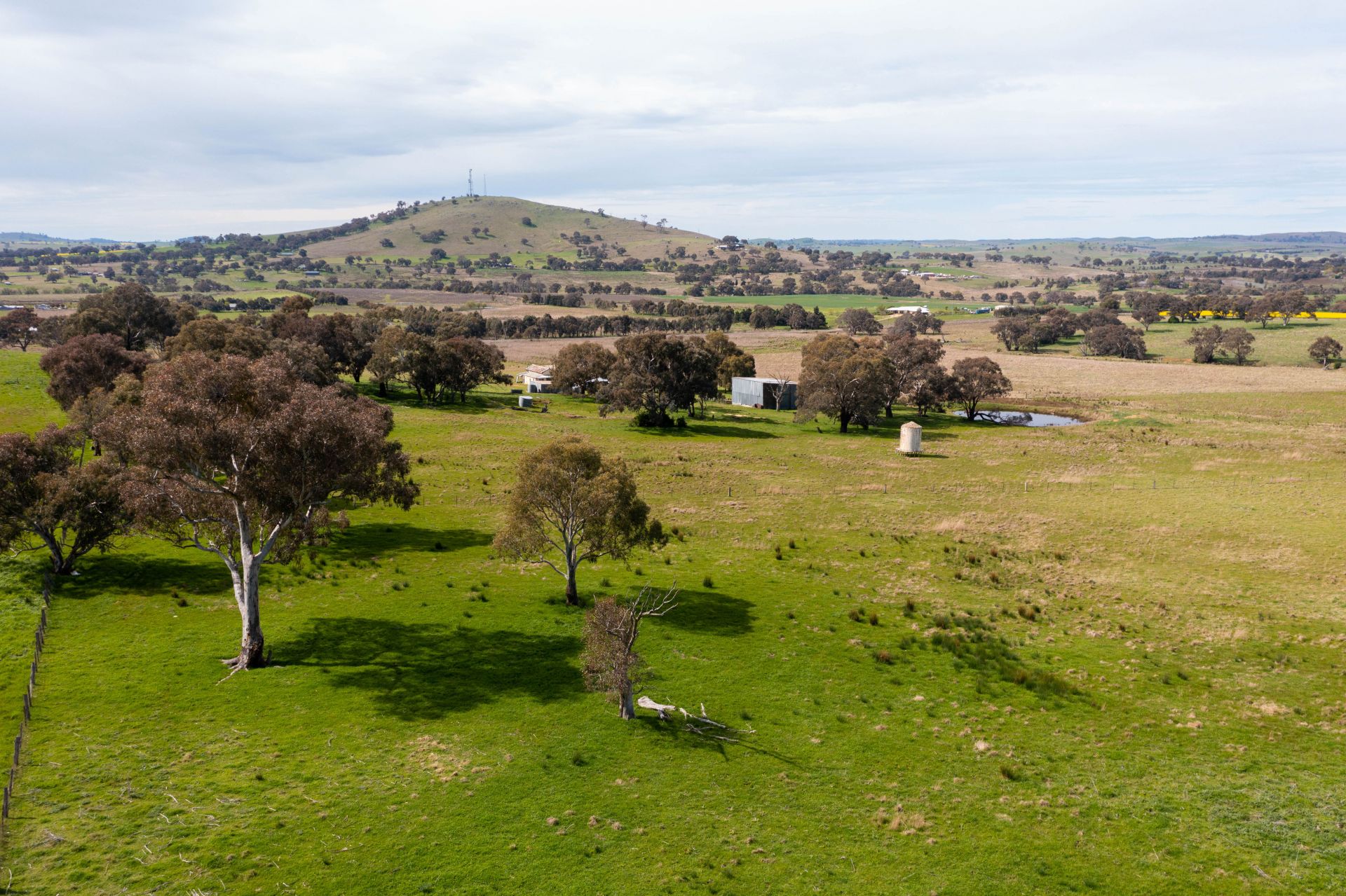 "Dots" 1887 Rye Park Road, Boorowa NSW, Boorowa - Thumbnail 4