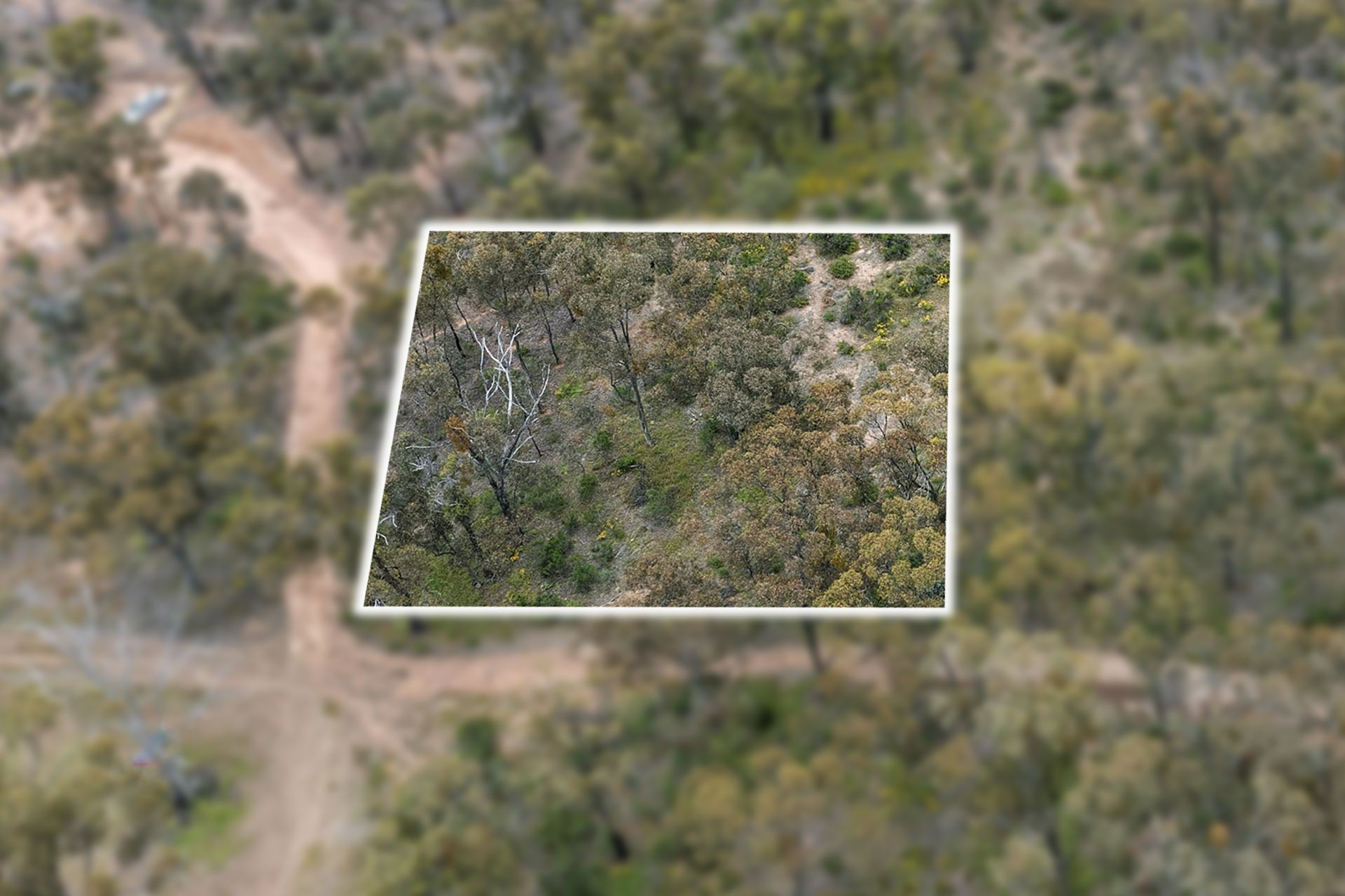 10 Lytton Street, Tarnagulla, Tarnagulla, Tarnagulla - Thumbnail 3