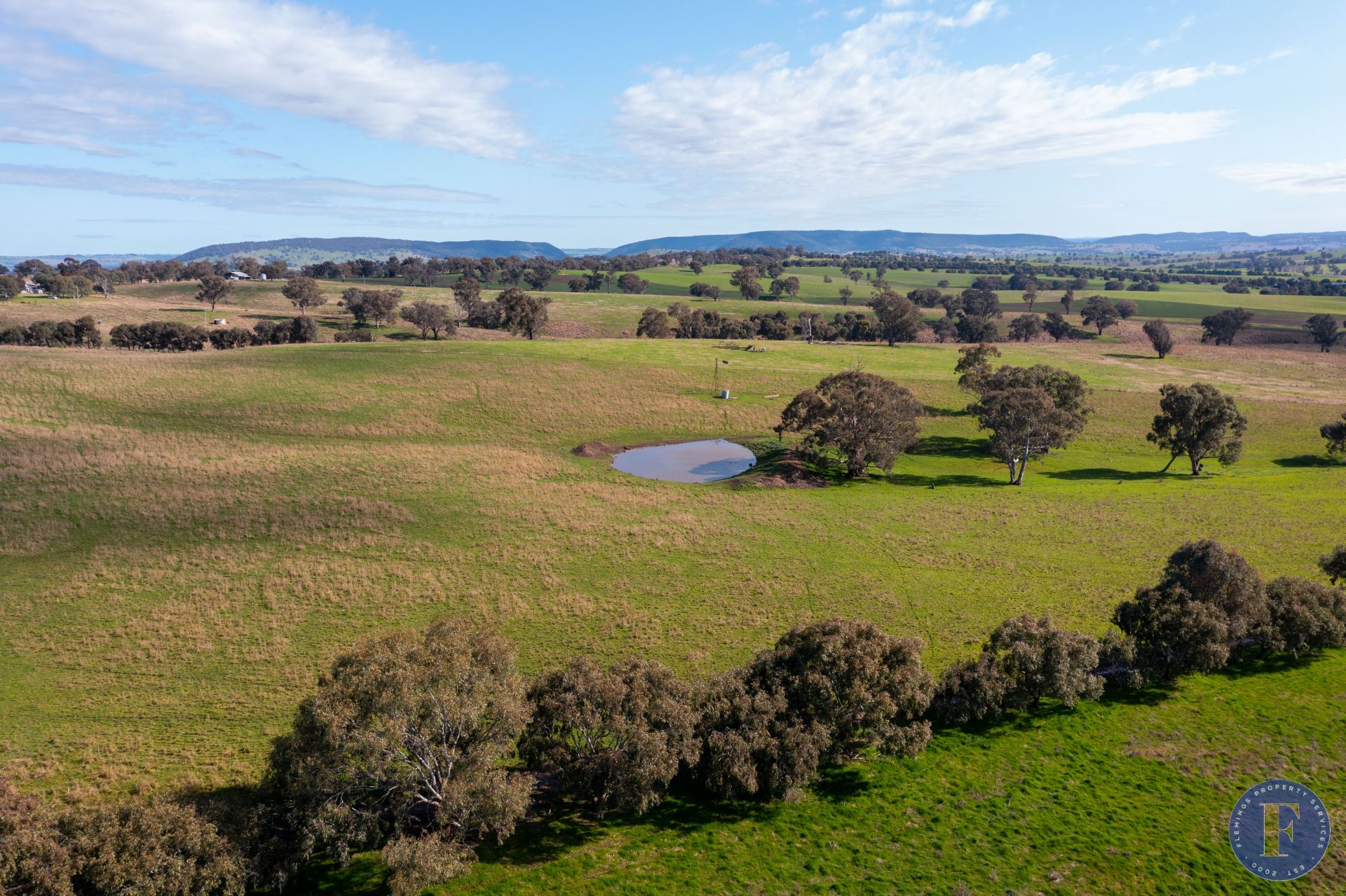 Lot 3 Milo Roads, Murringo NSW, Murringo - Thumbnail 4