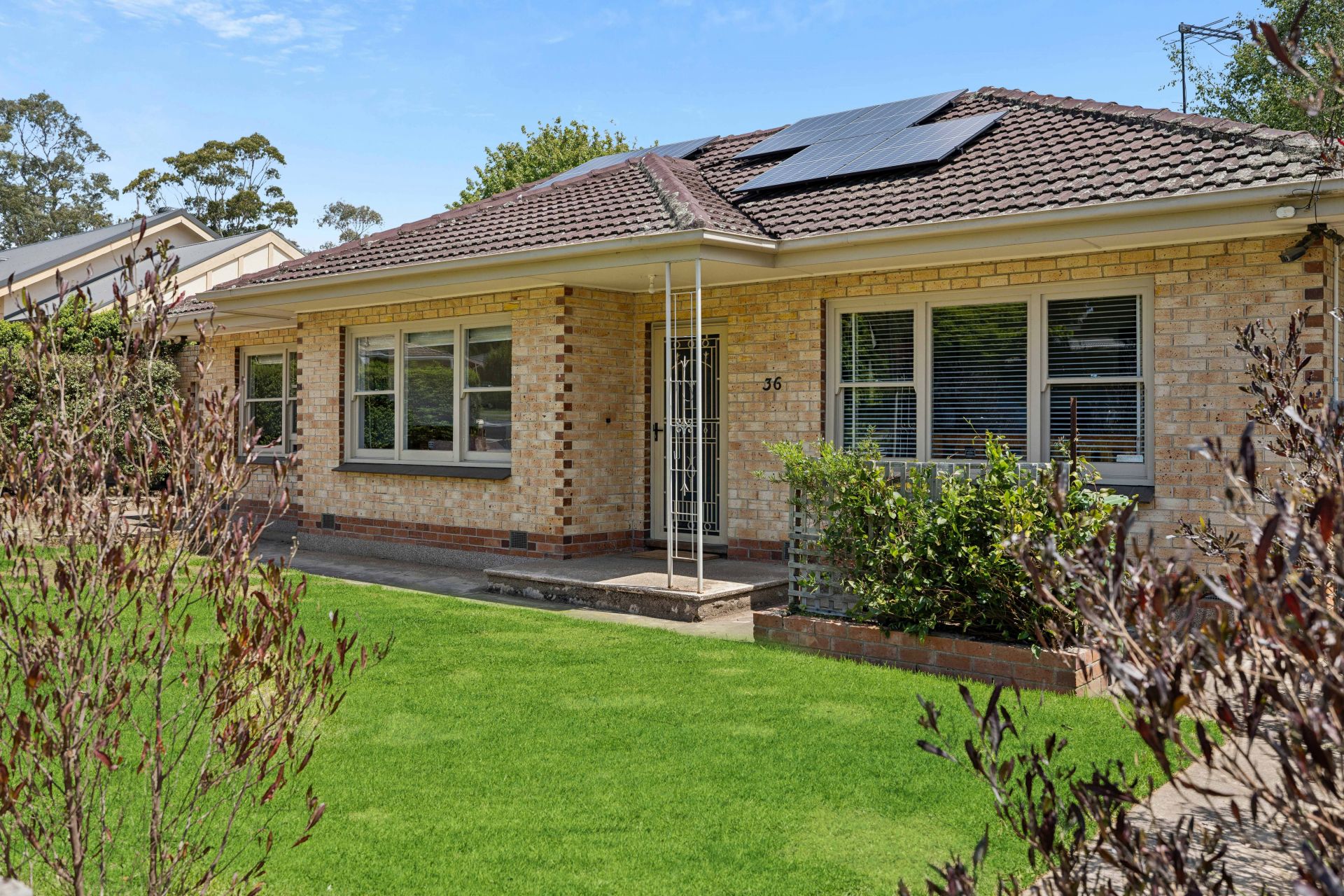 36 Hampden Road, Mount Barker SA, Mount Barker - Thumbnail 3