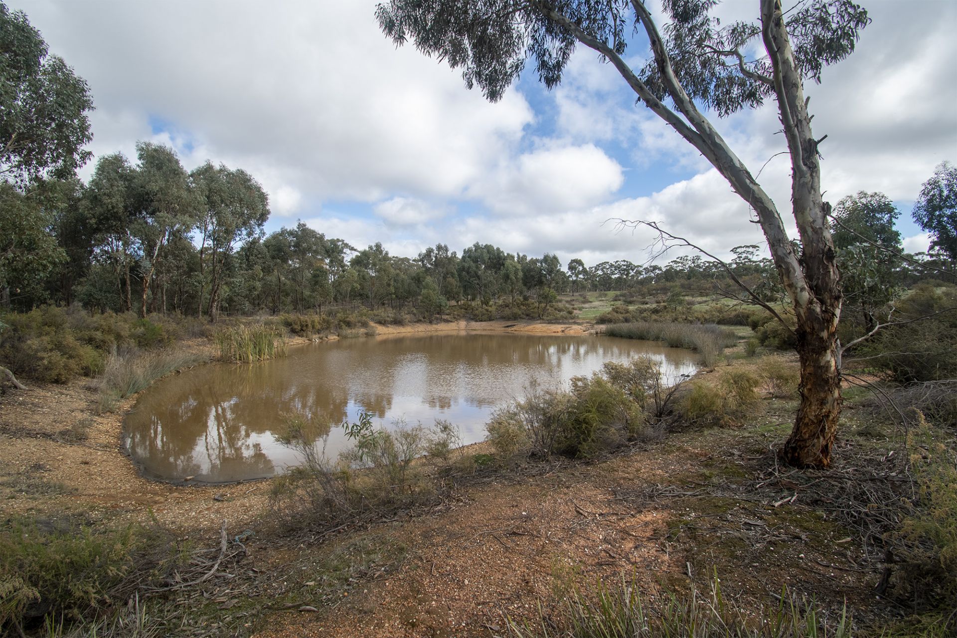48 Griffiths Street, Maryborough - Thumbnail 8