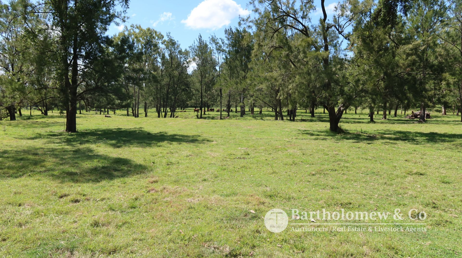 486 Mundoolun Connection Road Boyland QLD, Boyland - Thumbnail 8