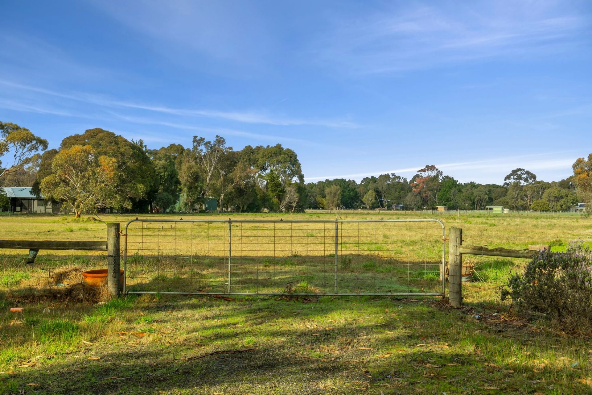 1-5 Merino Court Wallington VIC, Wallington - Thumbnail 4