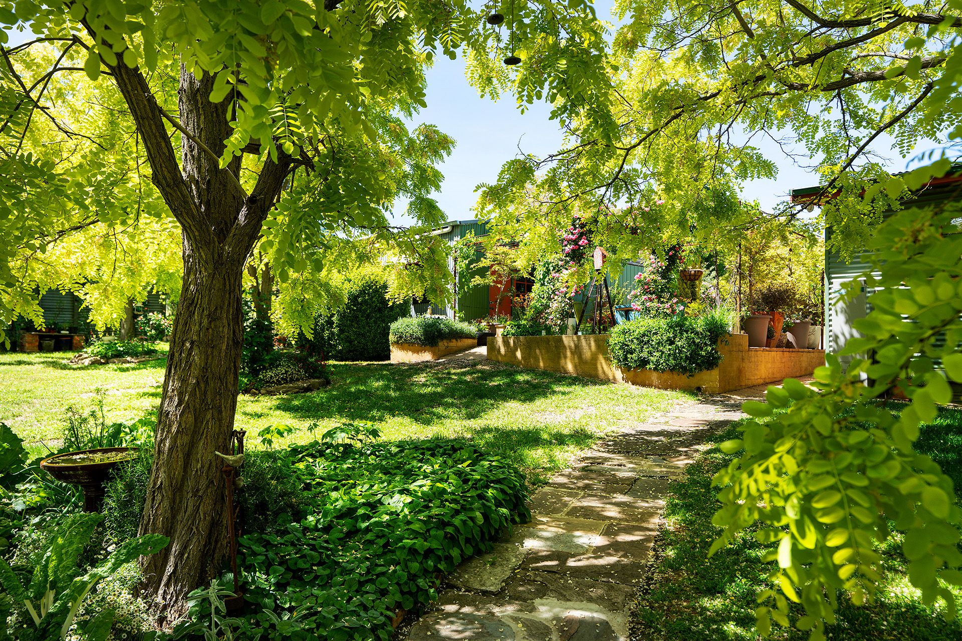 10 Simpson Street, Campbells Creek - Thumbnail 8