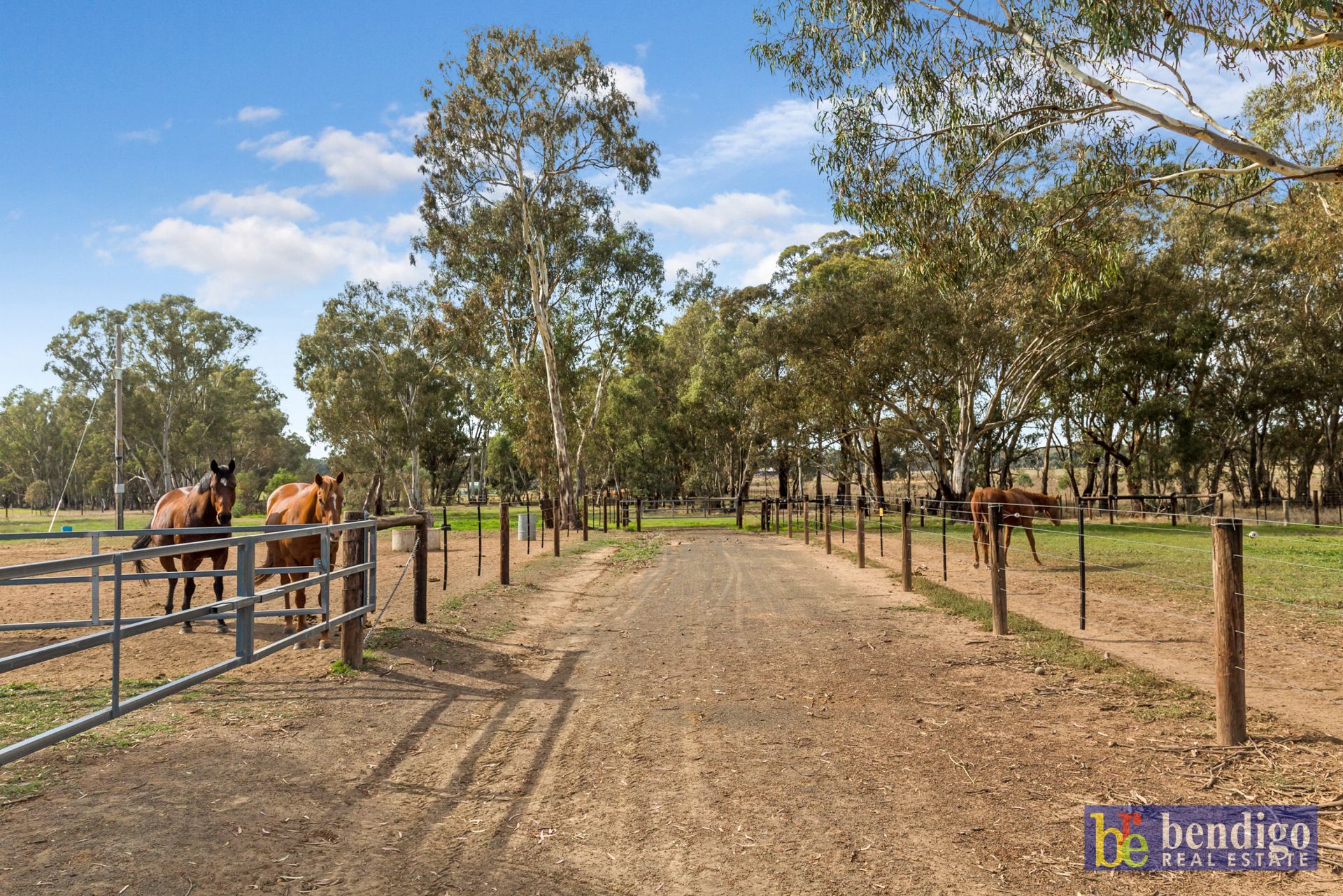 125 Longlea Lane Longlea VIC, Longlea - Thumbnail 6