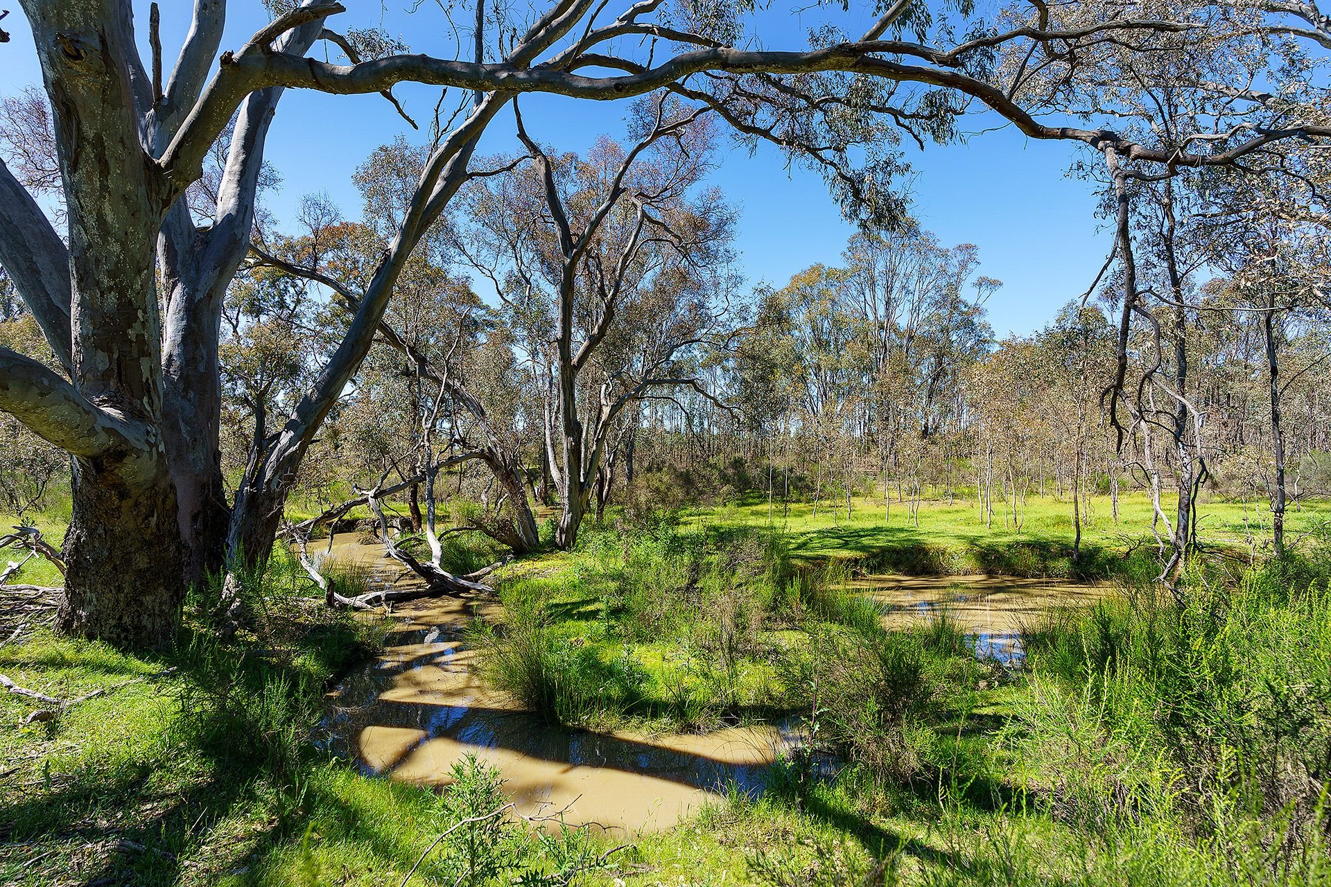 Lot 2H/ Hylands Lane, Heathcote VIC 3523