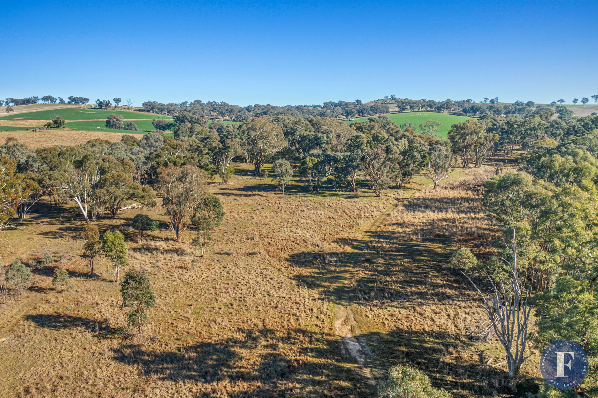 101 Kabardin Lane, Young NSW, Young - Thumbnail 5