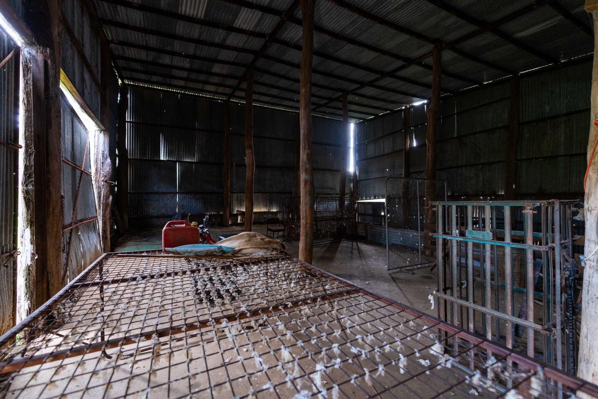 "Dots" 1887 Rye Park Road, Boorowa NSW, Boorowa - Image 1