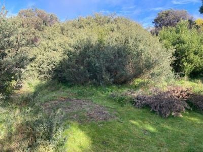 79 Inlet View Road, Venus Bay VIC, Venus Bay - Thumbnail 5