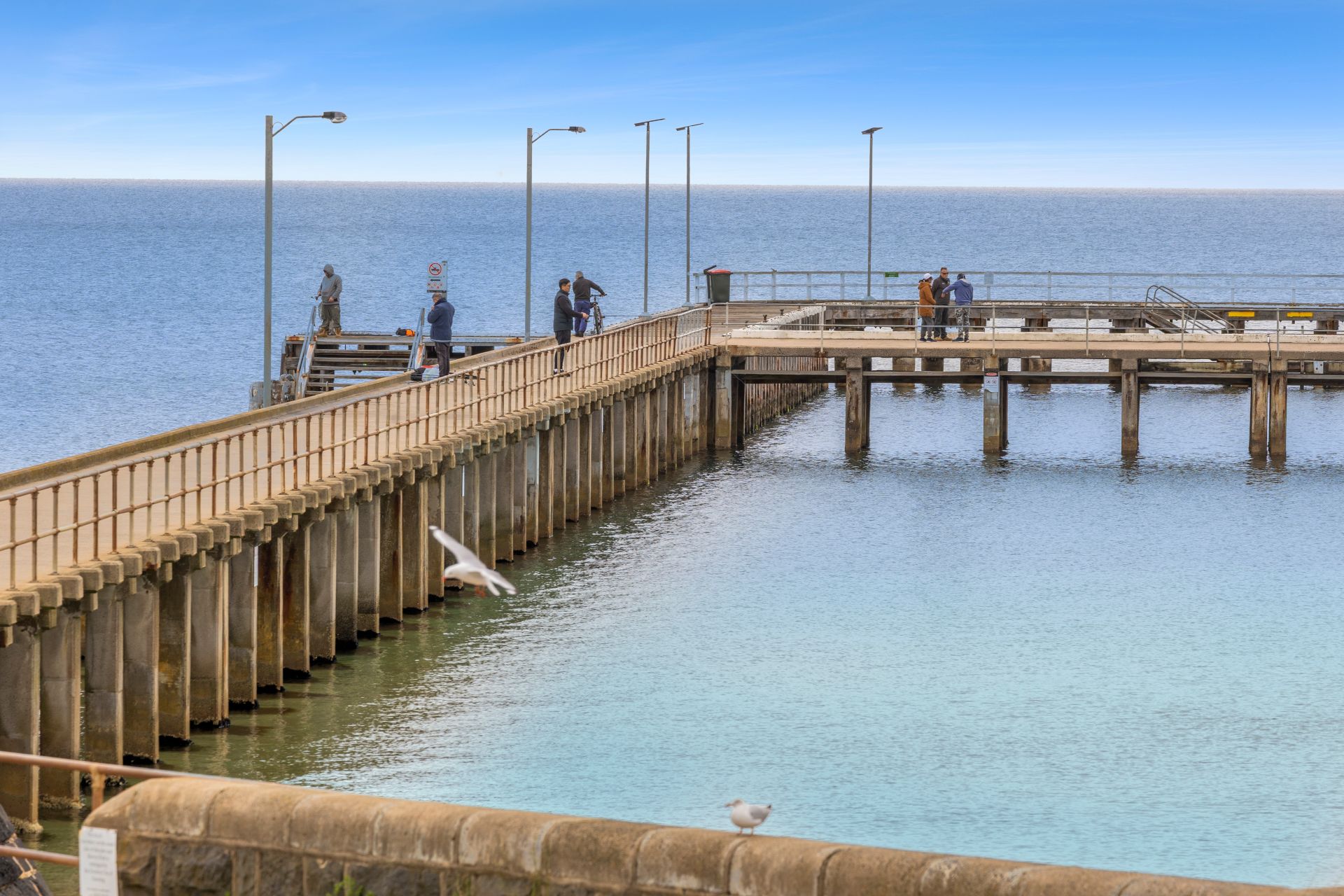 14 Jules Street St Leonards VIC, St Leonards - Image 1