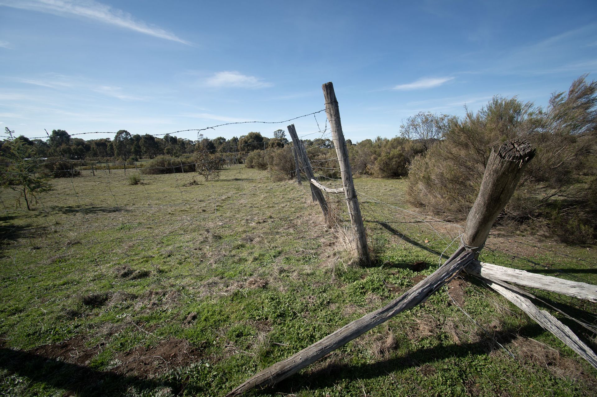 21 Gloury Road, Dunolly - Thumbnail 7