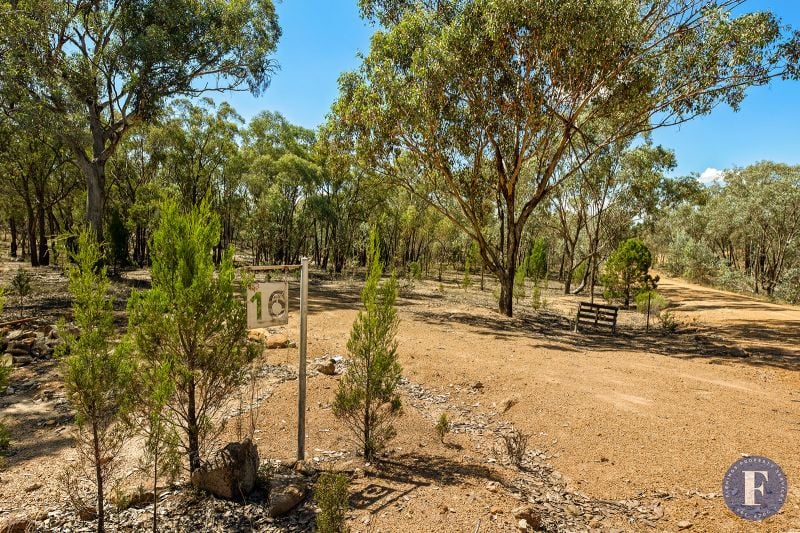 16 Caringa Road, Godfreys Creek NSW, Godfreys Creek - Thumbnail 2