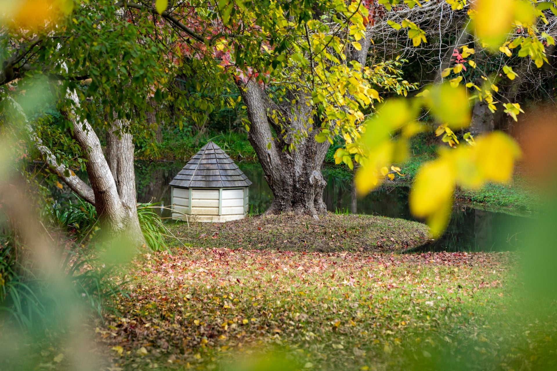 25 & 25a Werrington Street, Burradoo, Burradoo - Thumbnail 8