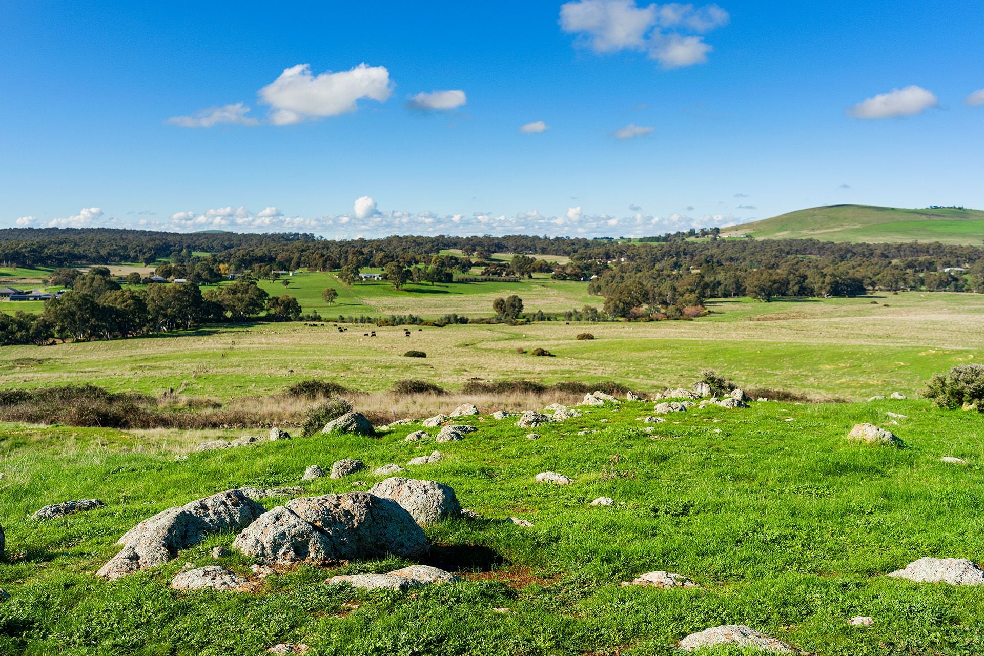 Lot 30/ Mt Greenoch Road, Red Lion VIC 3371