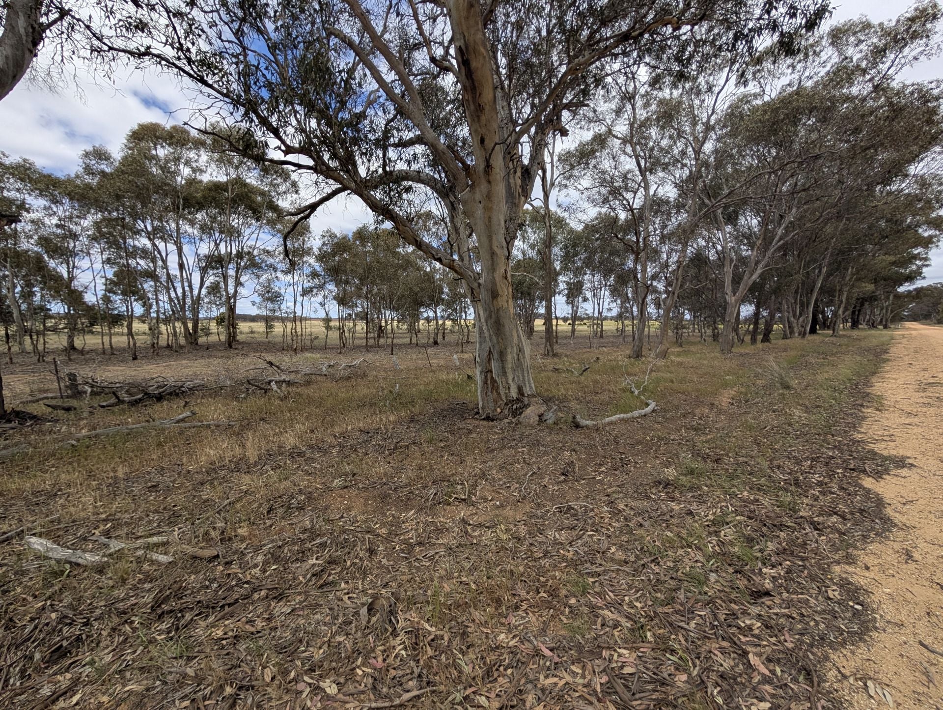 5a Logan-Bealiba Road, Cochranes Creek - Image 1
